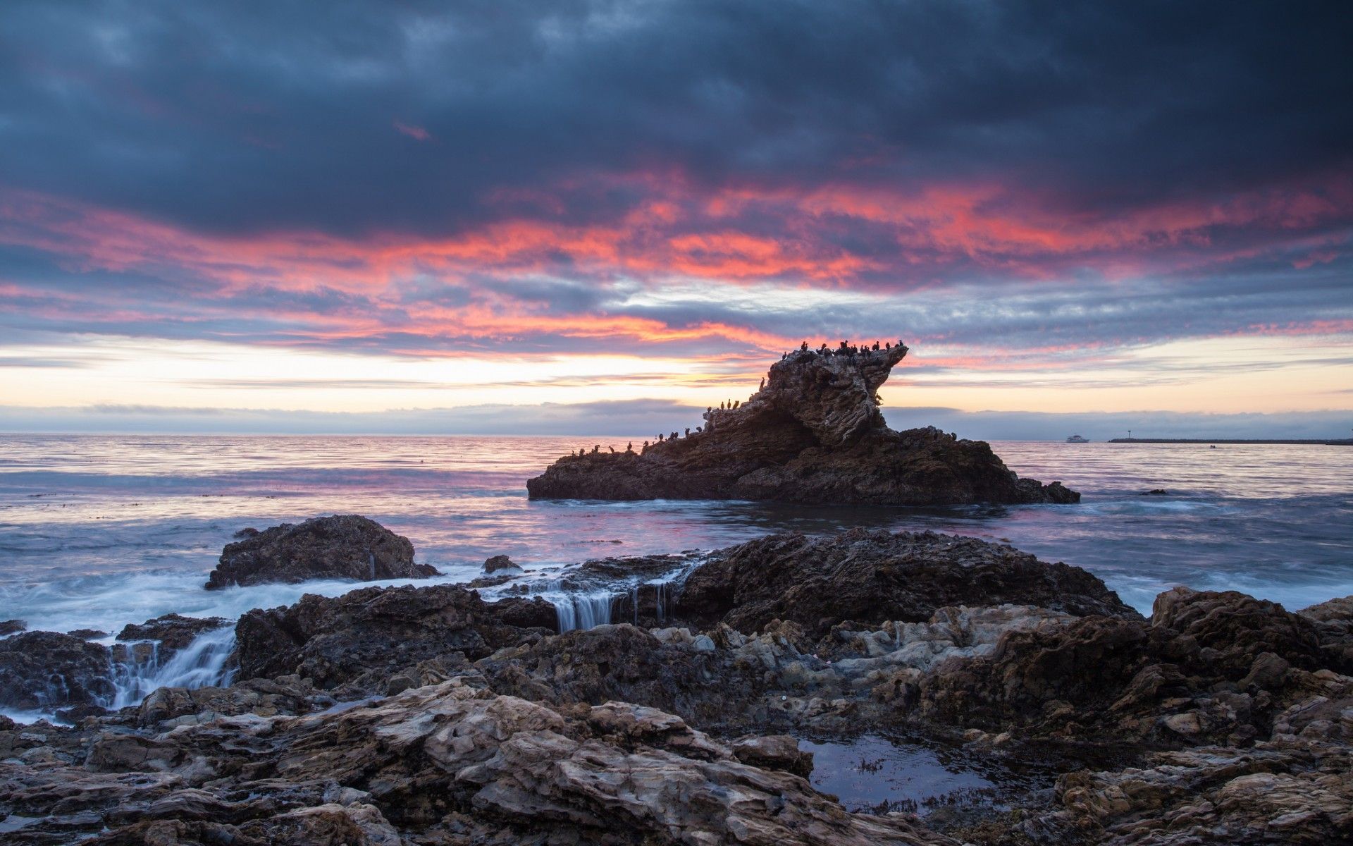 sea, Ocean, Beach, Stones, Rocks, Birds, Evening, Sunset, Sky