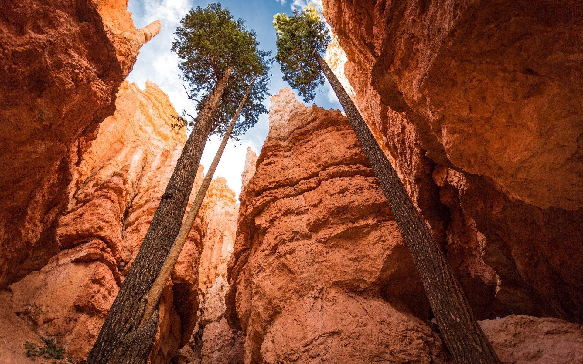 hd bryce canyon national park wallpaper. Bryce canyon national