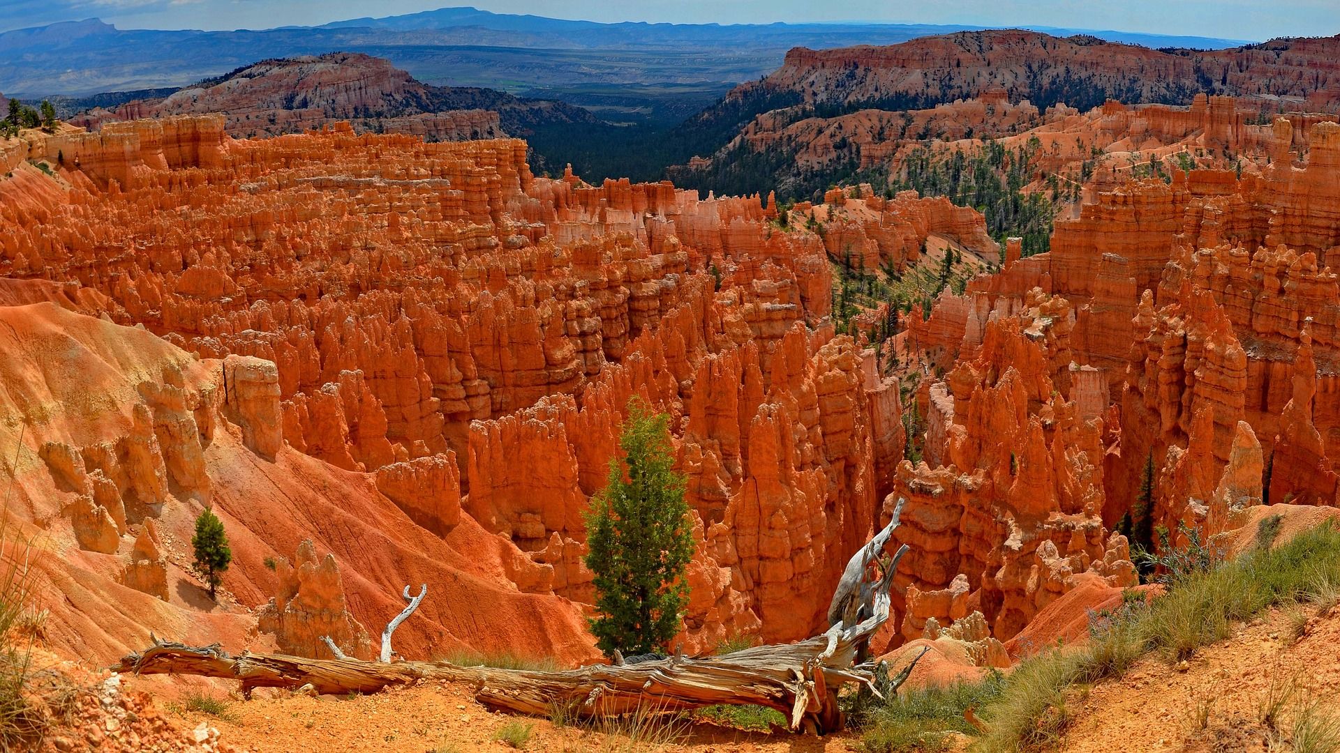 Zion And Bryce National Parks. Utah Multi Sport Adventure