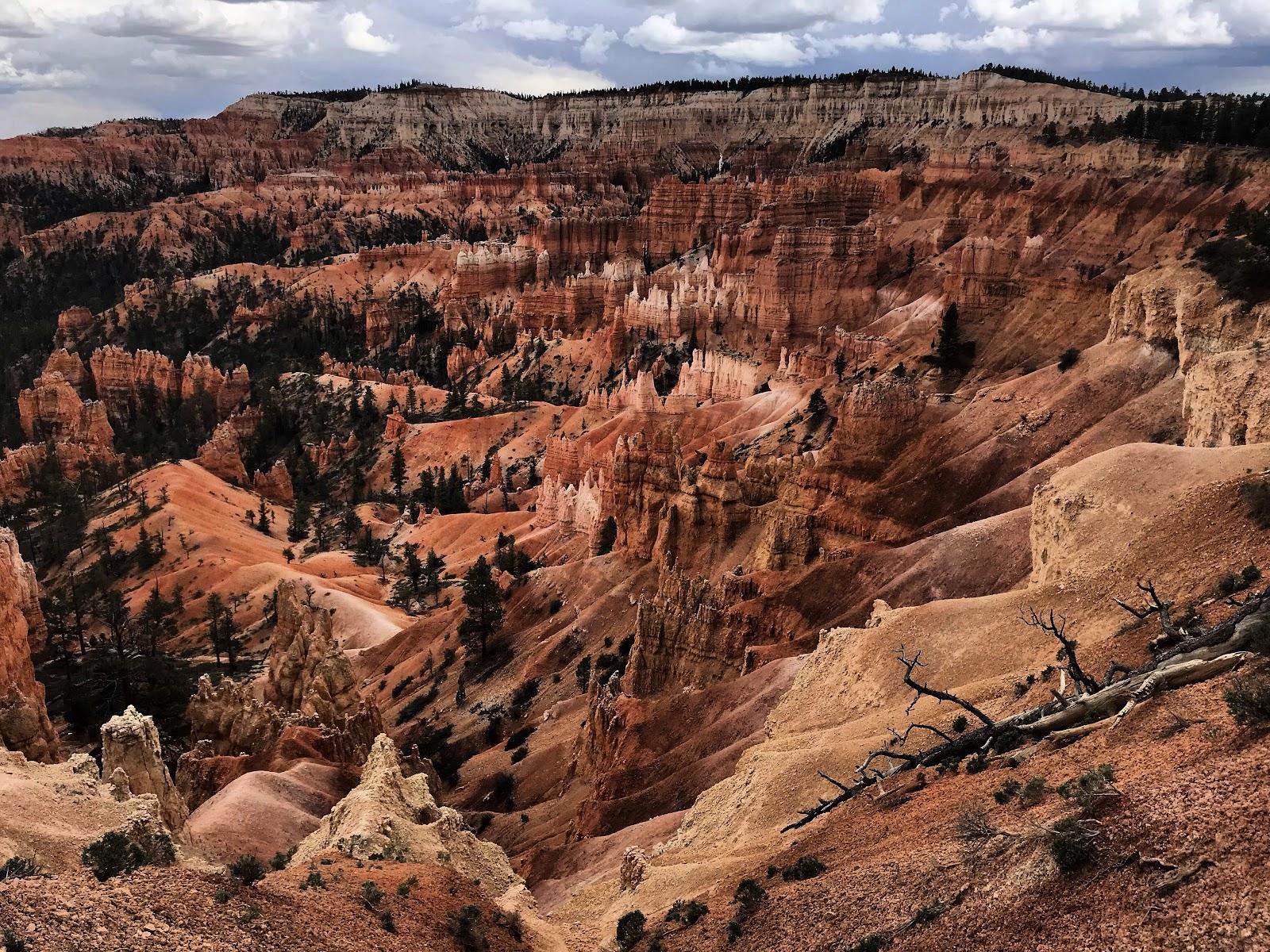 Bryce Canyon National Park Is Now Closed. KUER 90.1