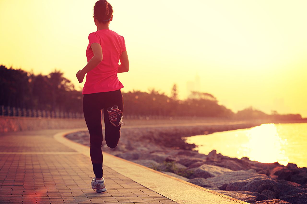 Picture Run training sunset running Fitness Sport young woman