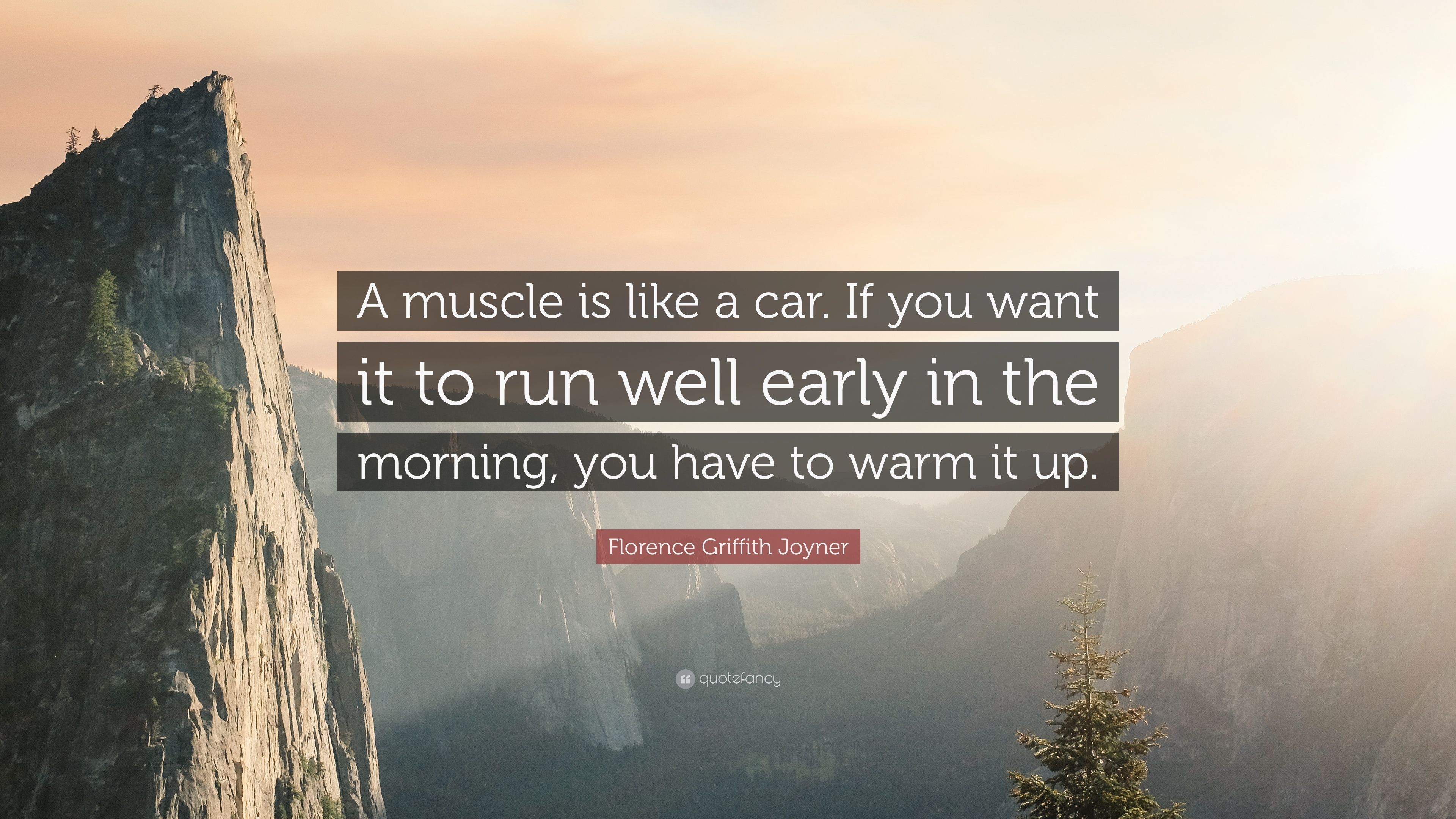 Florence Griffith Joyner Quote: “A muscle is like a car. If you