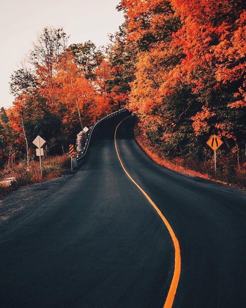 Autumn 2018! - Instagram Profile & stories