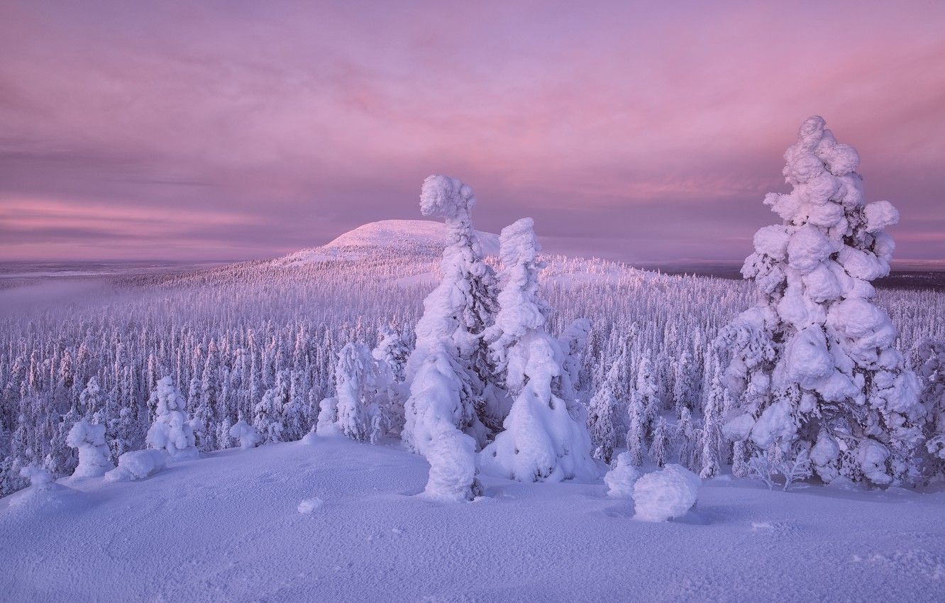 Wallpaper winter, forest, snow, trees, Finland, Lapland image