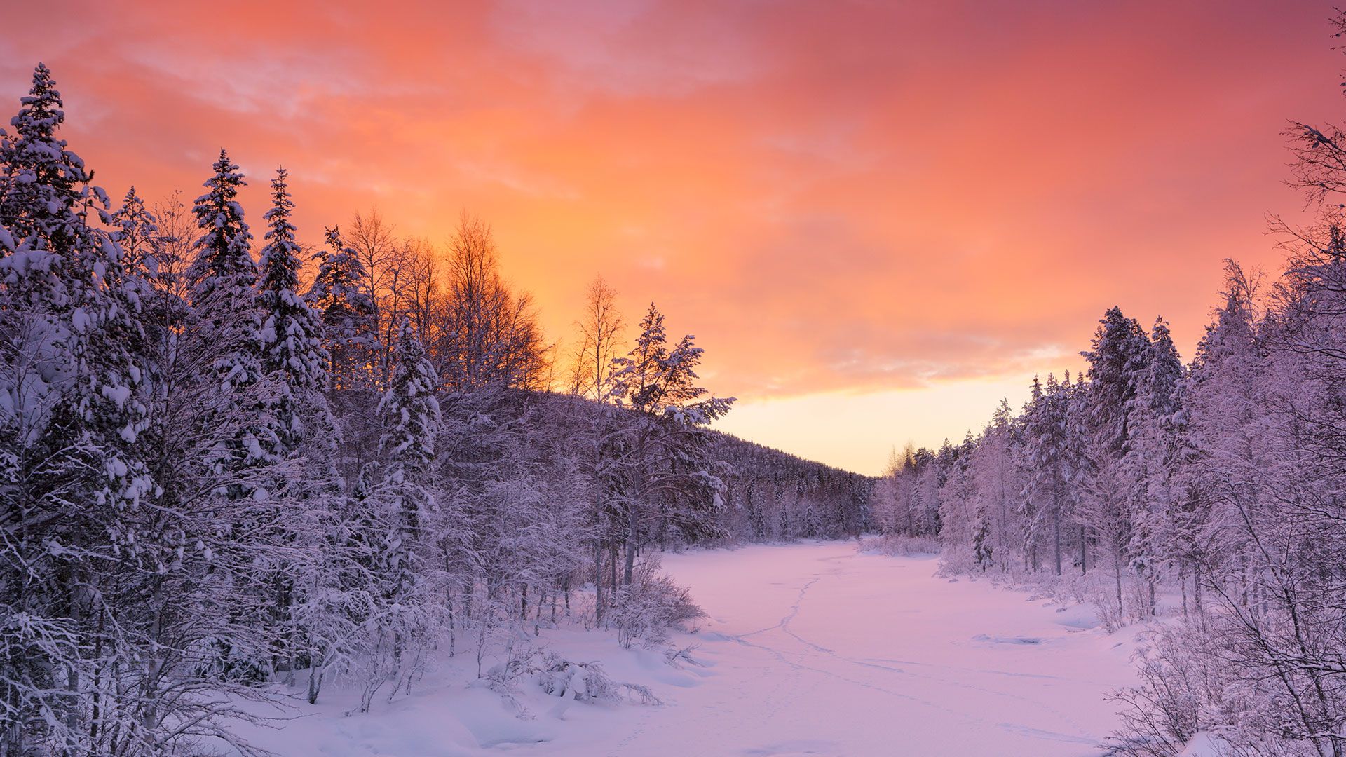 Winter in Finland Suomessa (Lapland) Wallpaper