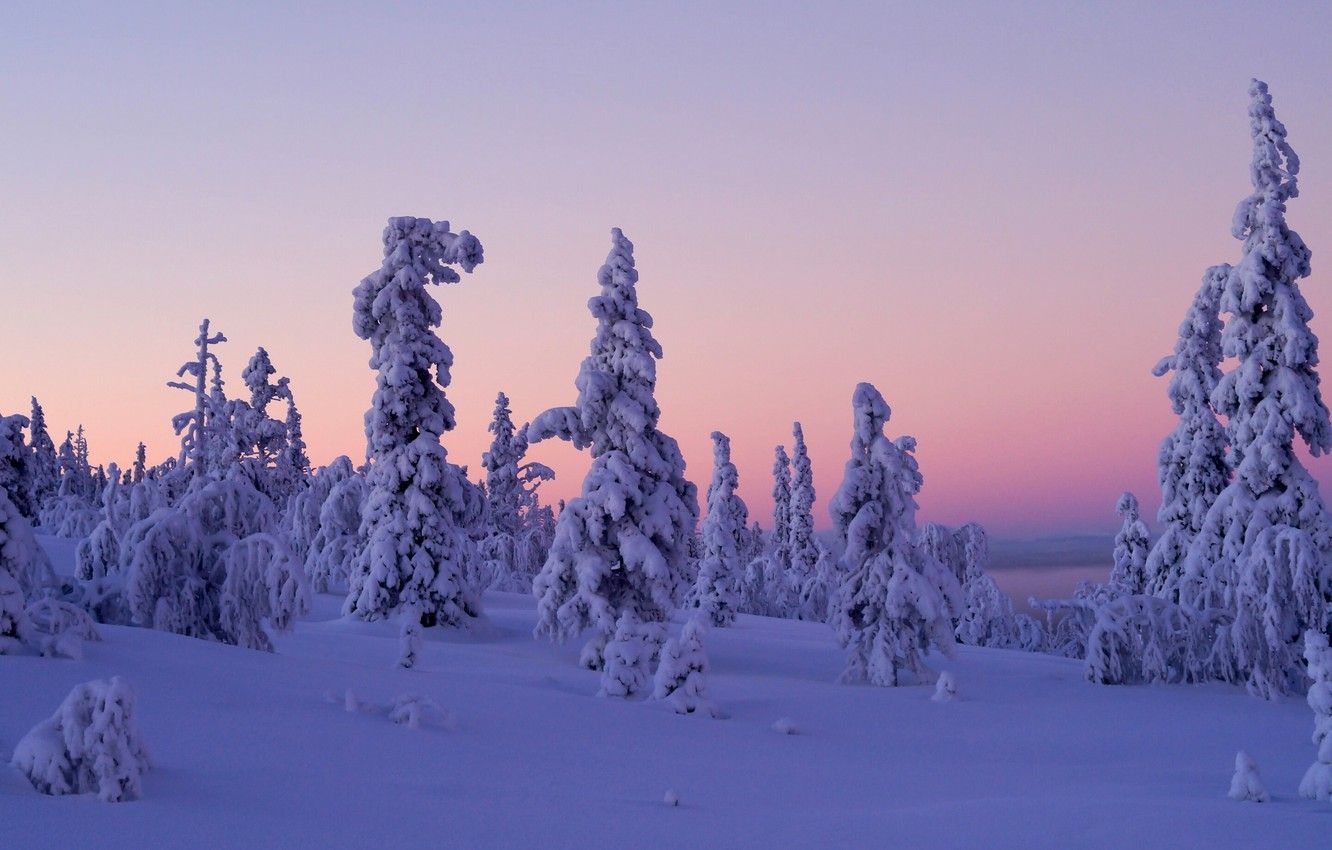 Wallpaper winter, snow, trees, sunset, Finland, Finland, Lapland