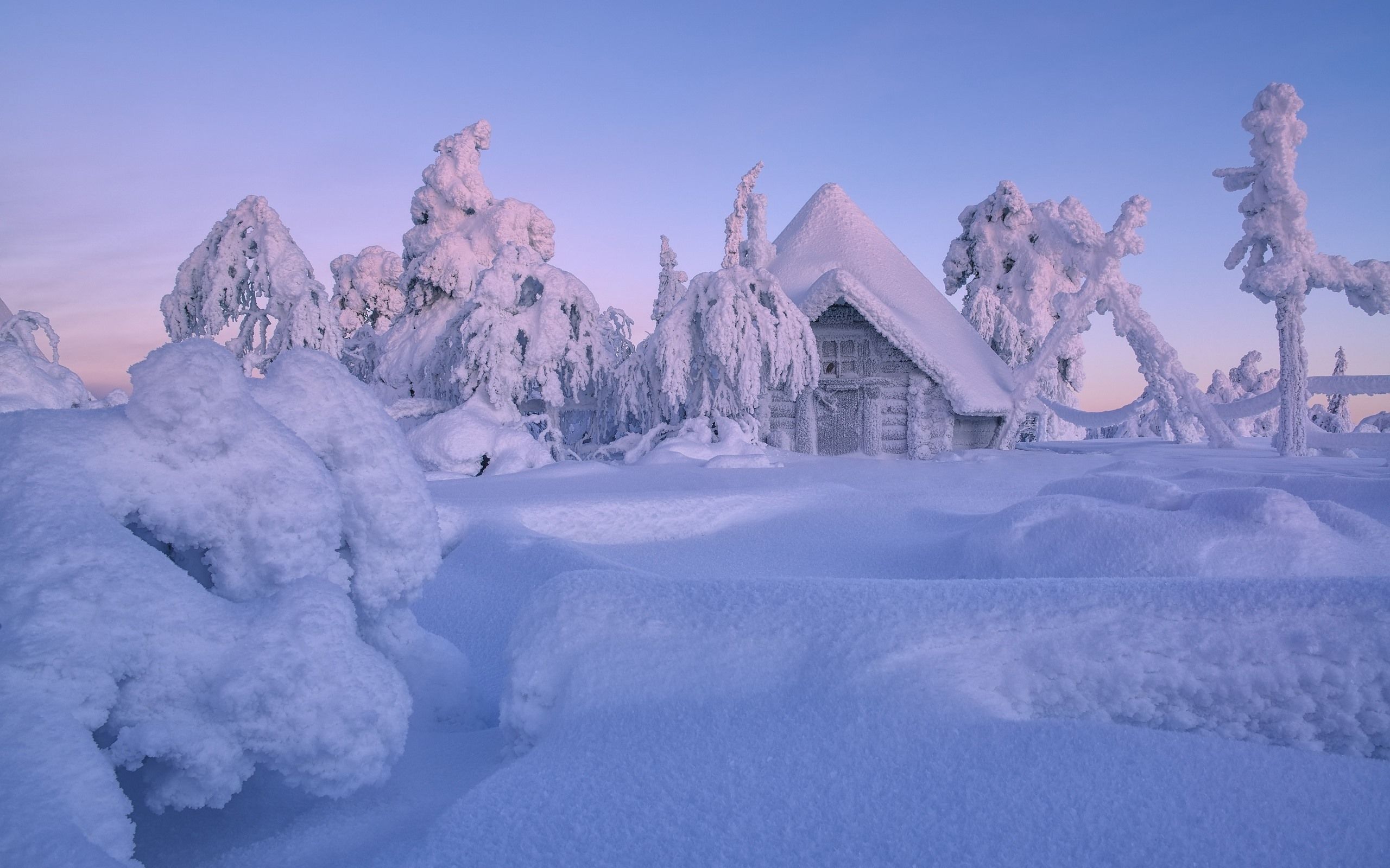 Wallpaper Finland, Lapland, winter, thick snow, trees, house