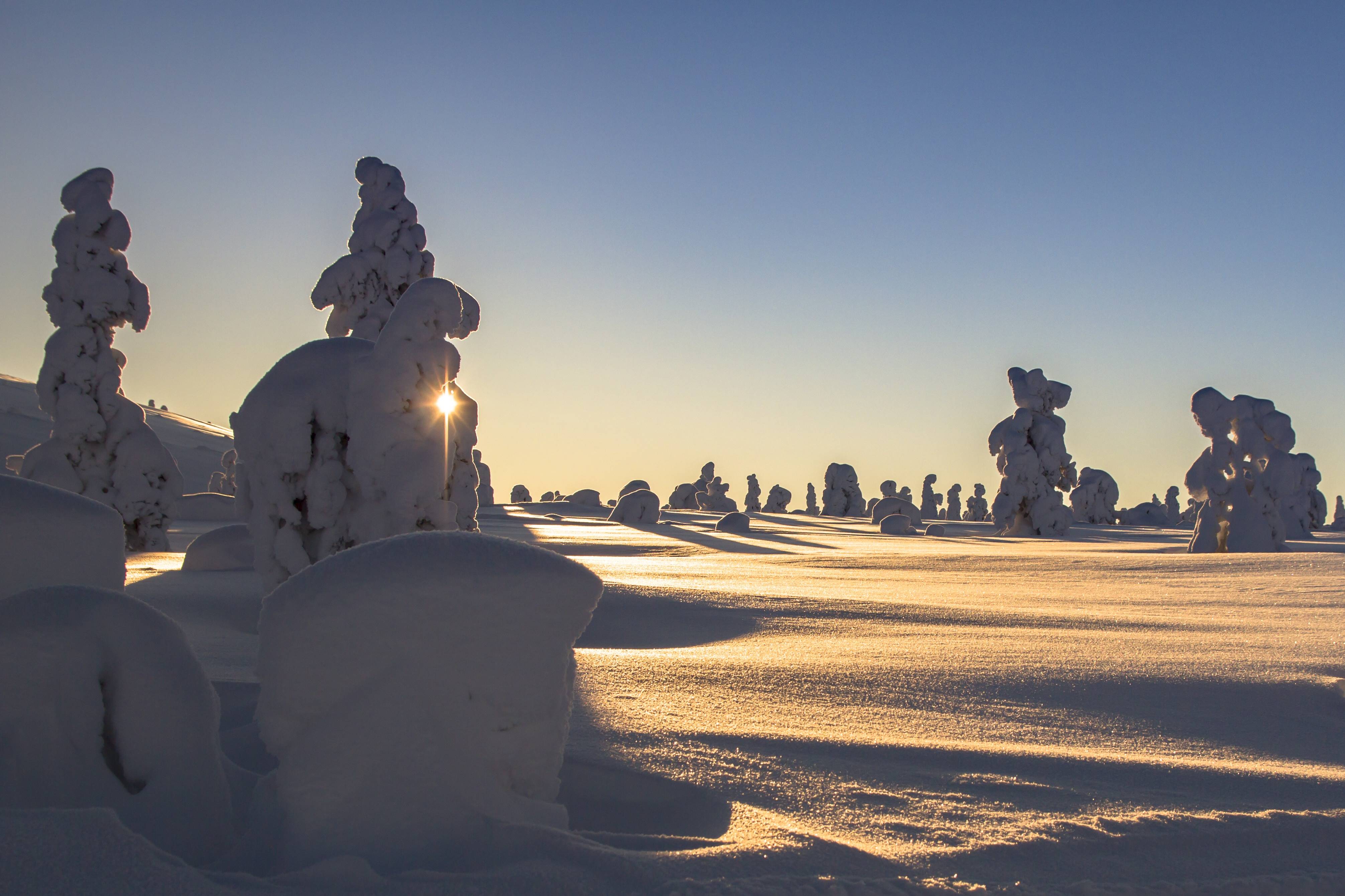 #finland, #winter, #snow, #wintry, #landscape, #cold