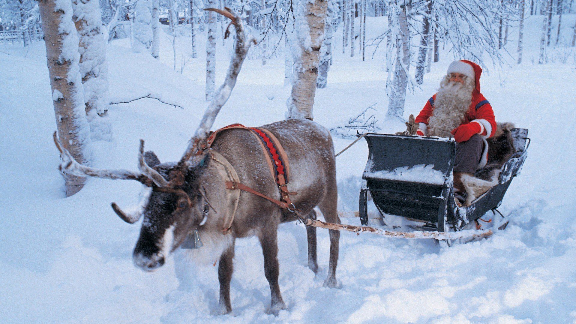 santa, Claus, Ride, Finland, Lapland Wallpaper HD / Desktop