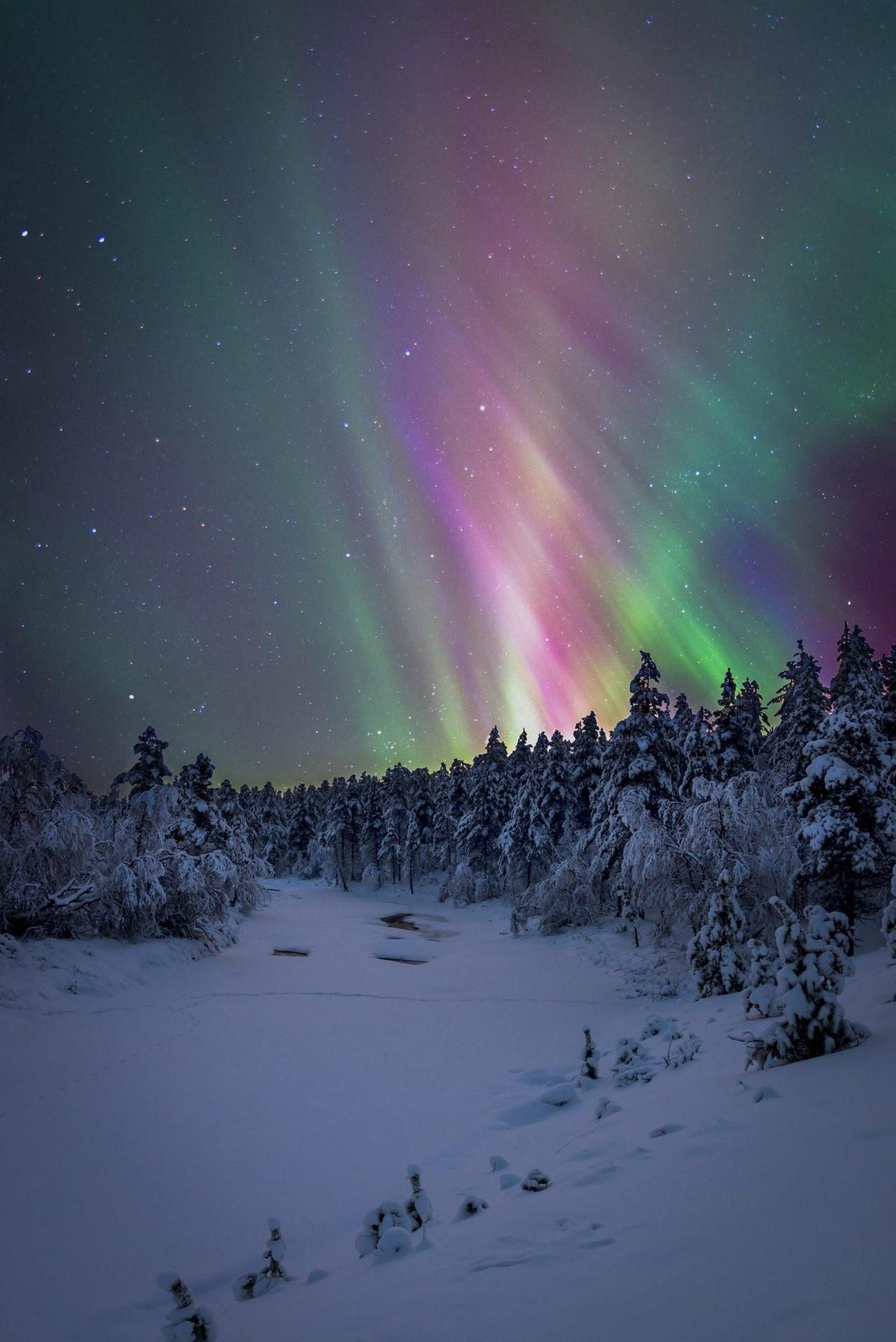 Northern light in Lapland, Finland. [1090] [450] -. Winter
