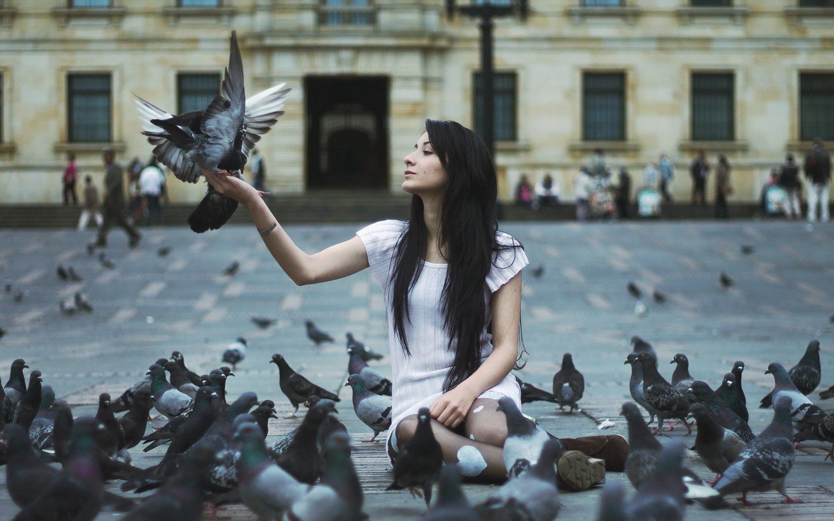 Brunette Girl Pigeons wallpaperx1050
