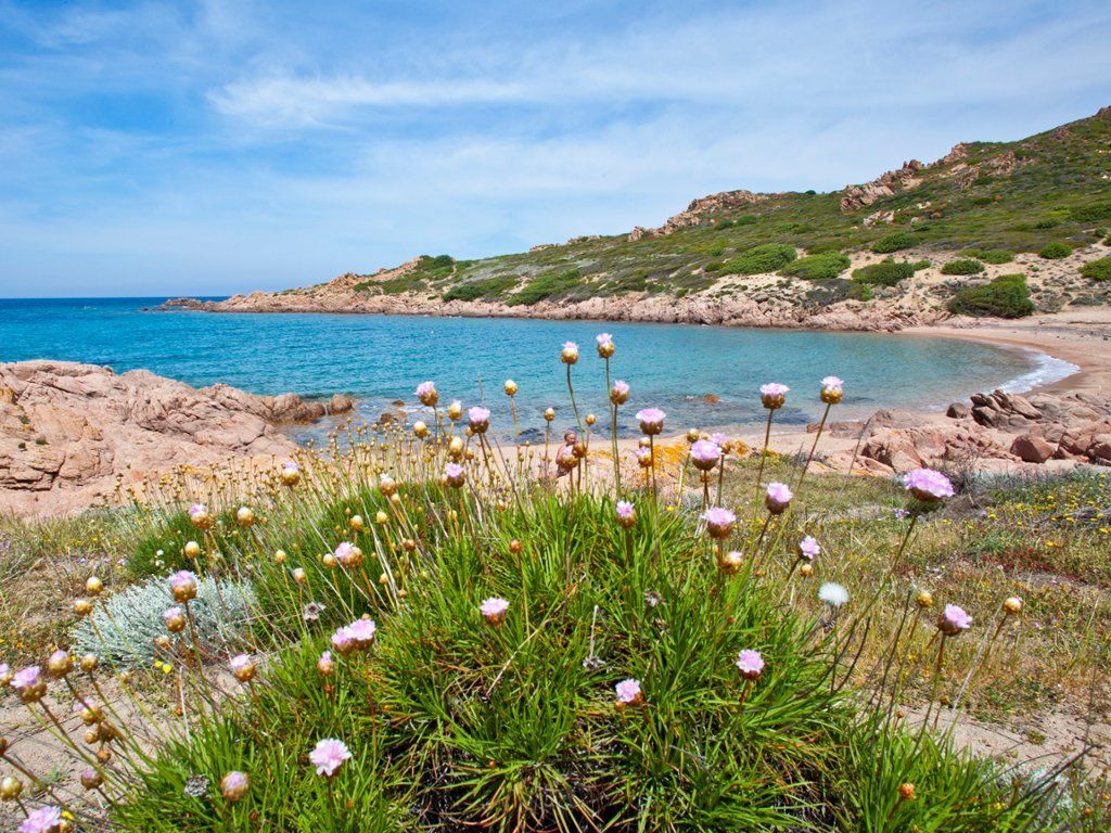 Coast of Sardinia, Italy. Scenery, Sardinia italy, Sardinia