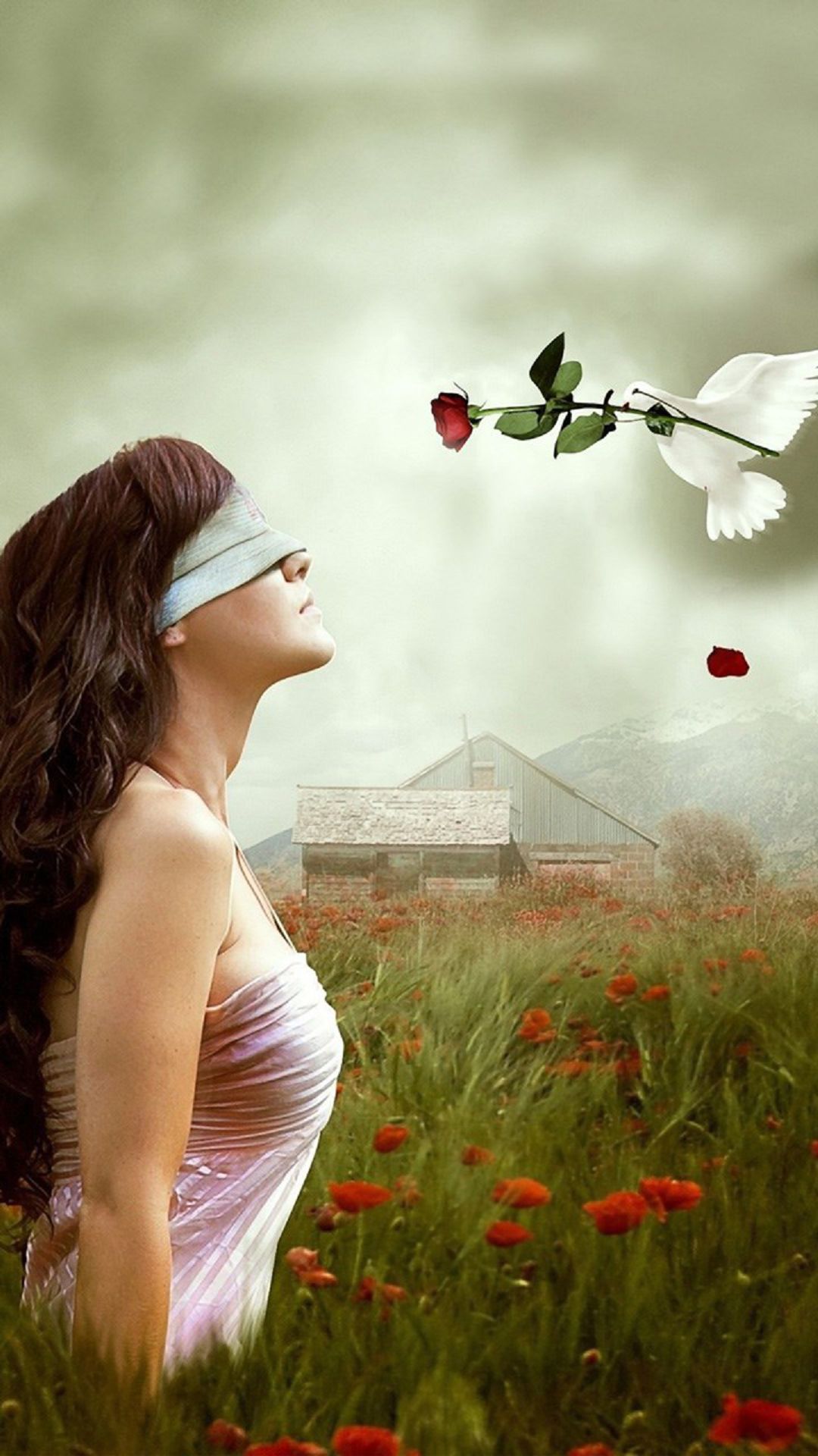 Blindfolded Girl White Pigeon Android Wallpaper free download
