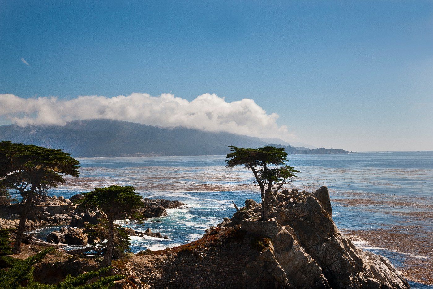 free Monterey