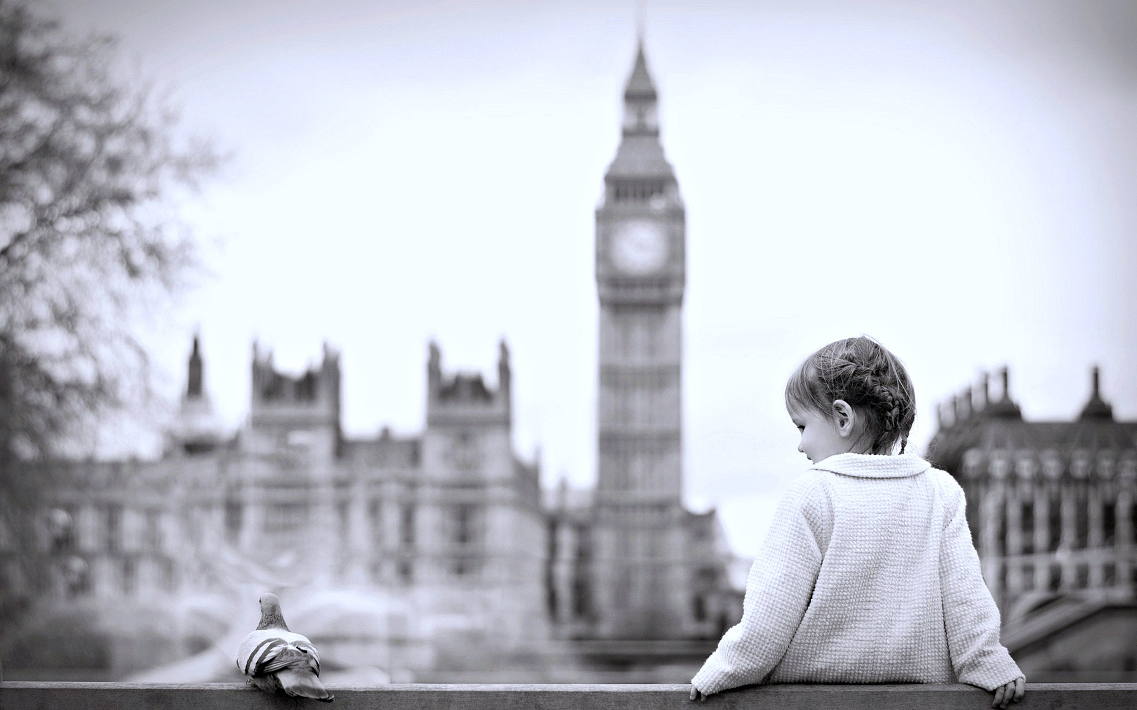 Little girl birds uk london Pigeon city friends emotions wallpaper