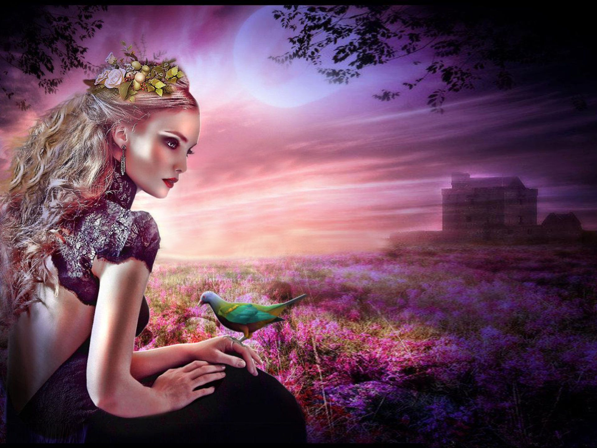 Girl and pigeon Beautiful girl with blond hair field purple full