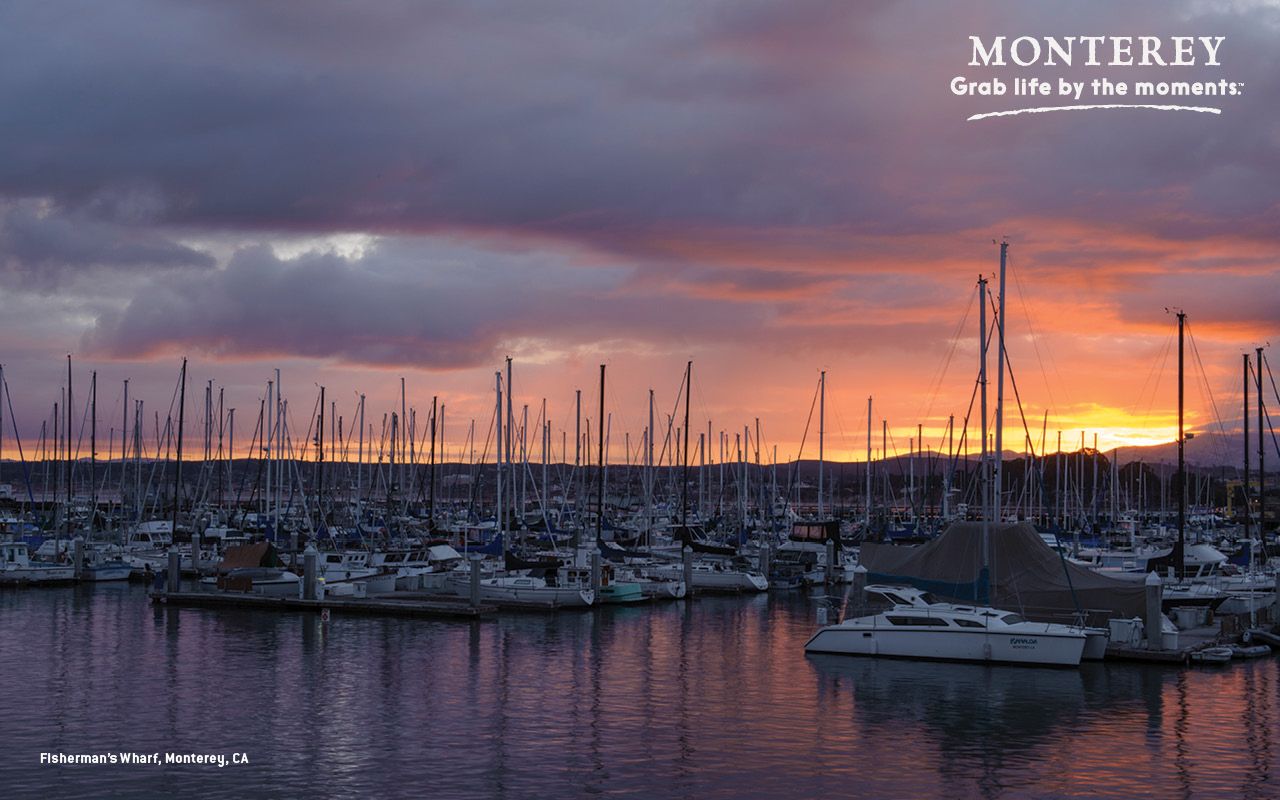 Monterey Wallpaper. Monterey Wallpaper