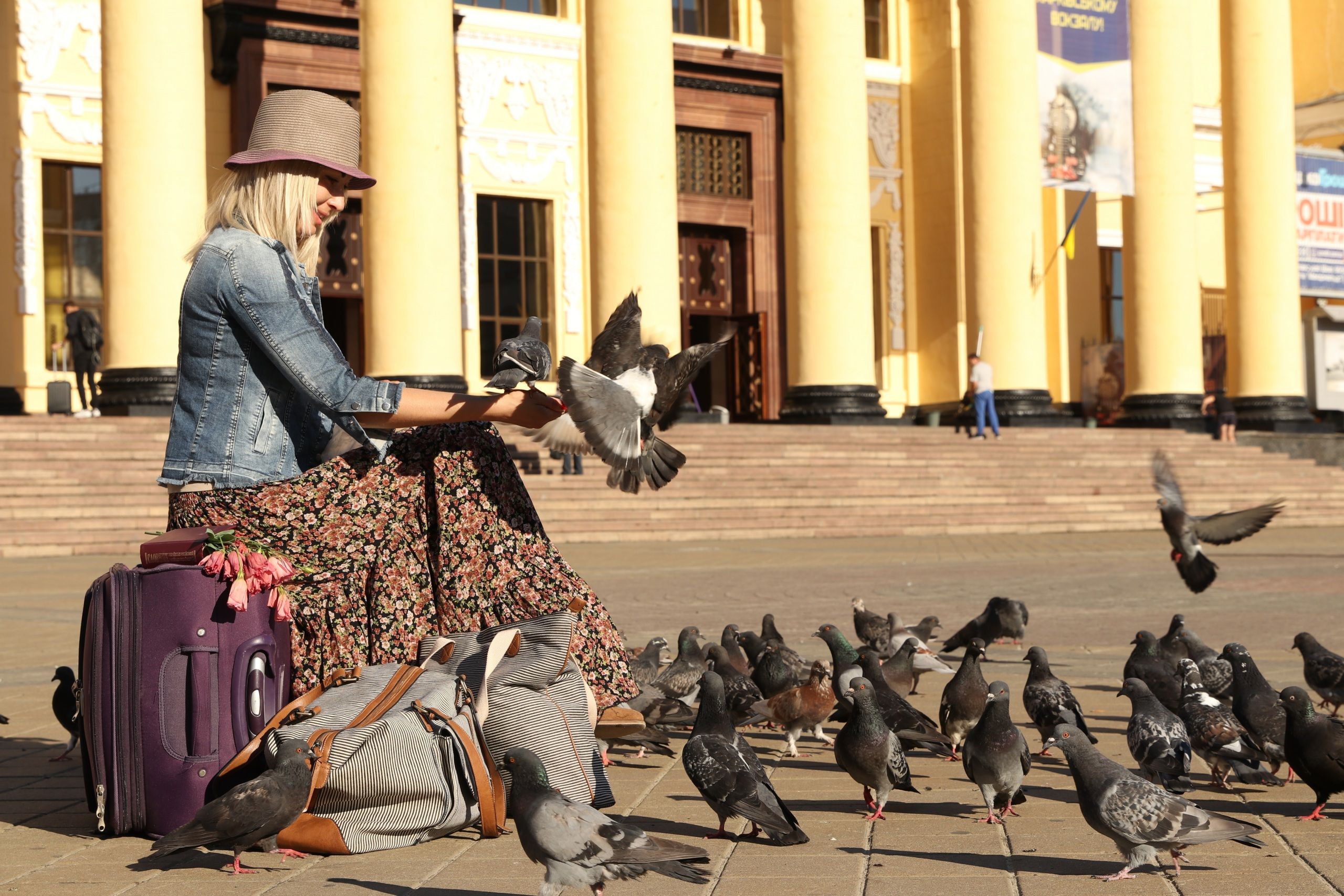 Picture Pigeons Blonde girl Hat young woman Sitting 2560x1706