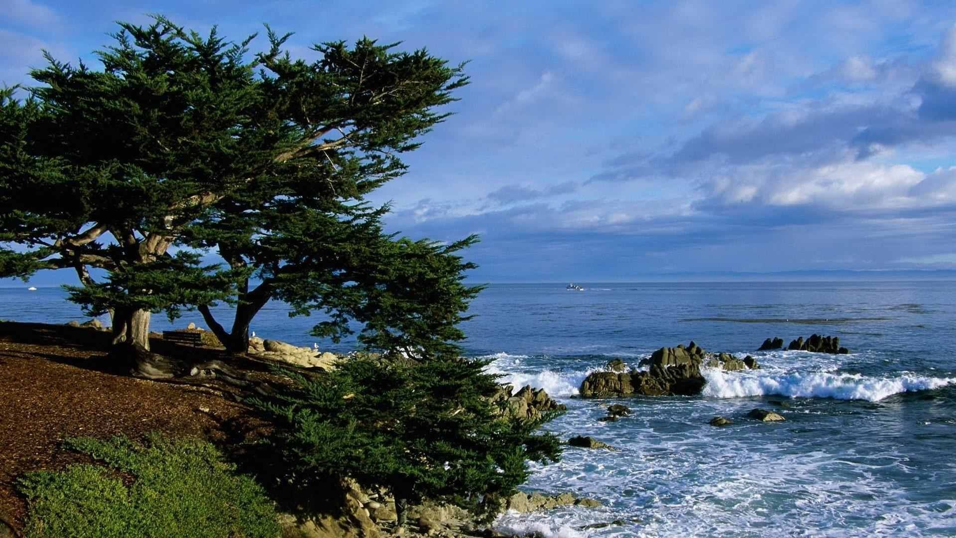 Monterey Wallpaper Free Monterey Background