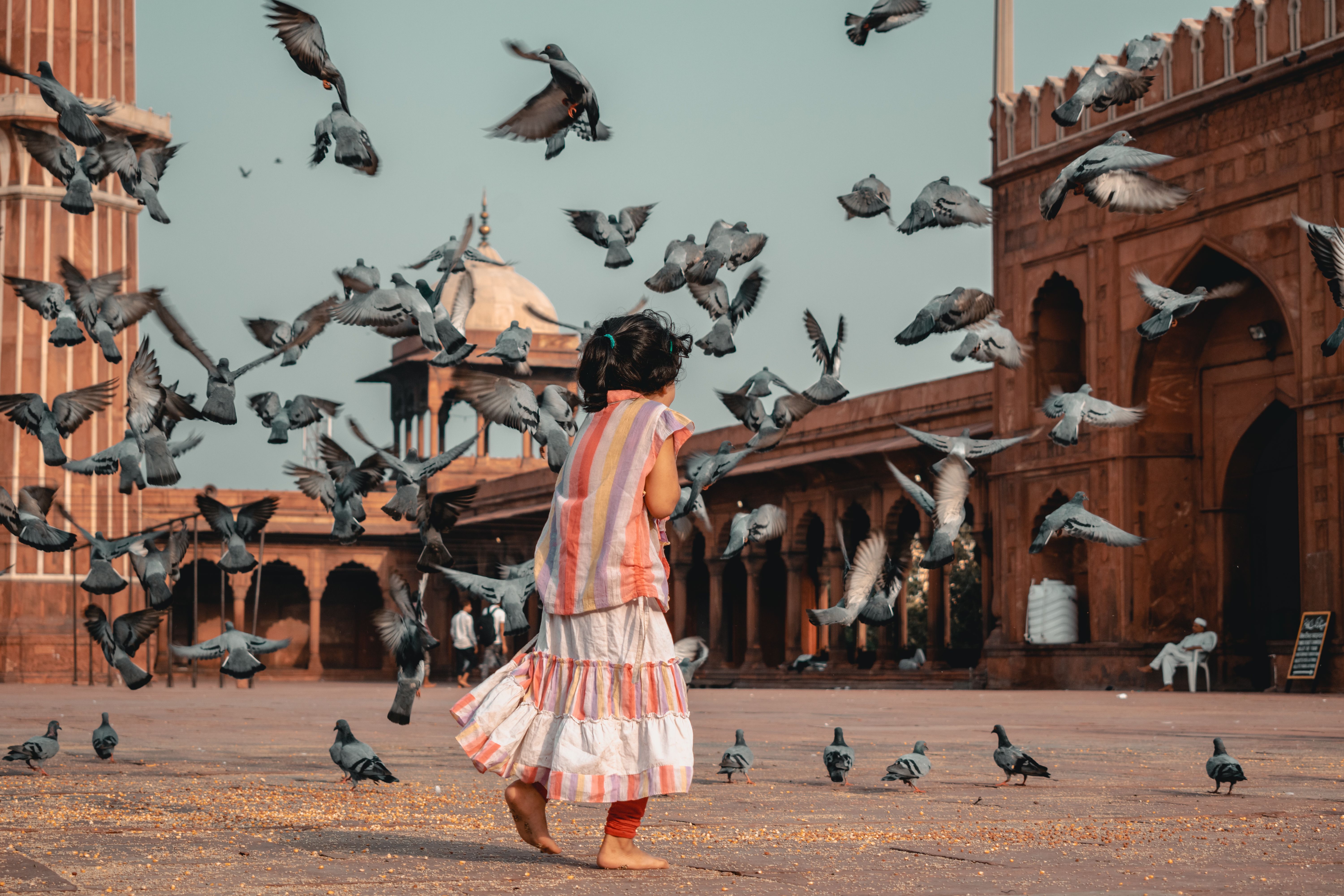 Girl Standing in Front of Flying Pigeons · Free