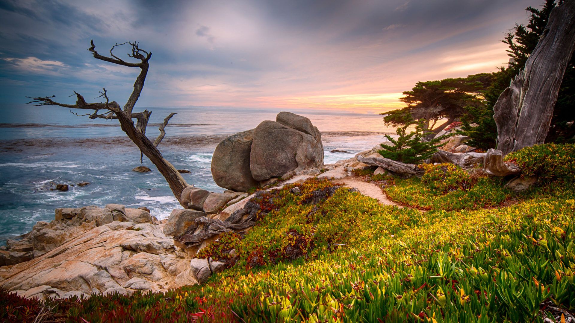 California Usa Coast Near The City Monterey 4k Ultra HD Tv