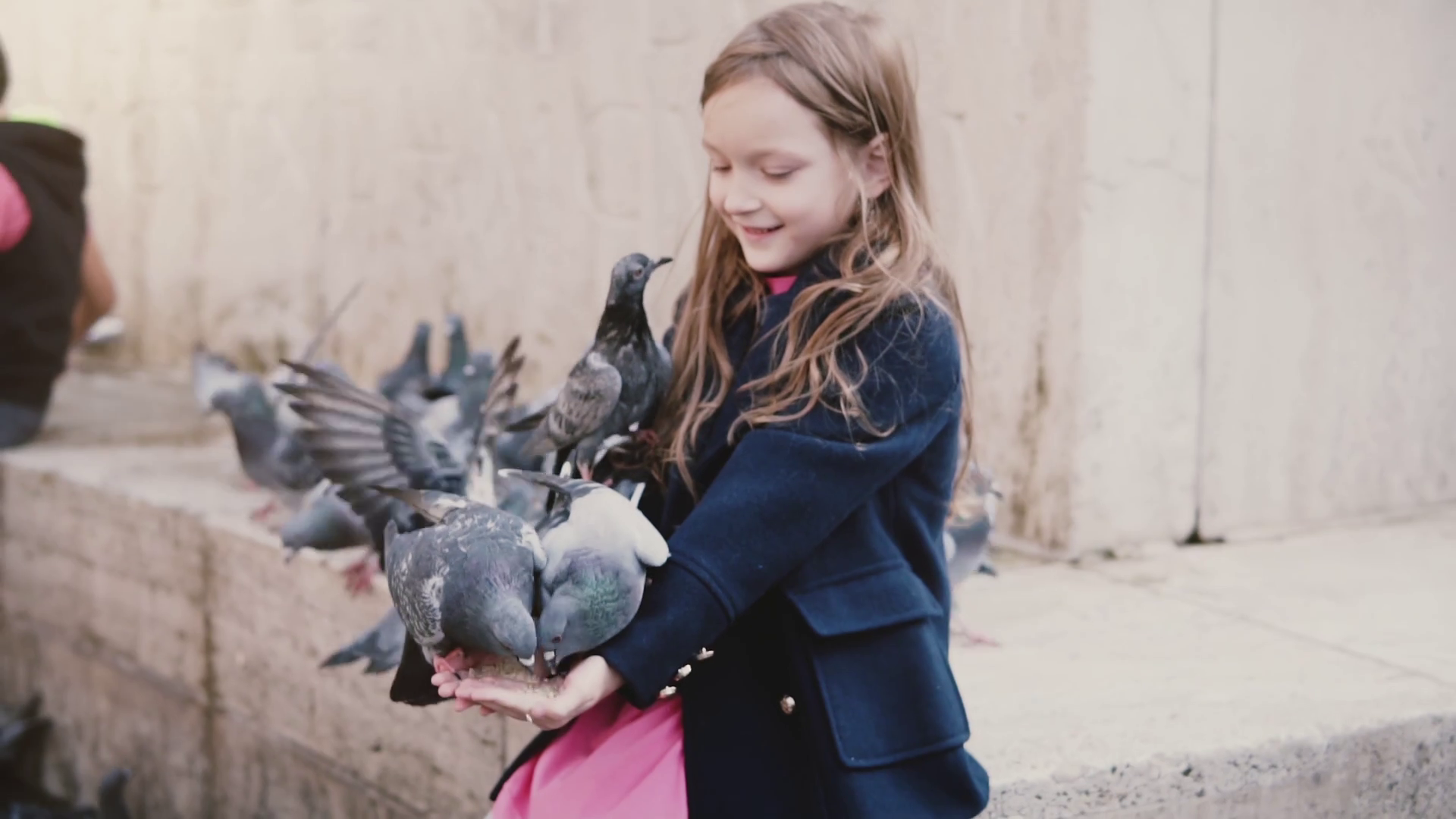 Birds sit on little girl's arms and eat. Slow motion. Beautiful