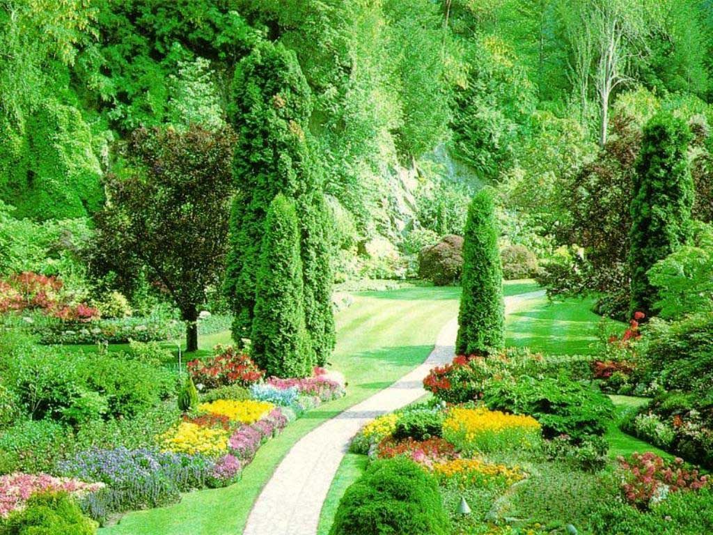 Beautiful nature wallpaper. Beautiful flowers garden, Garden