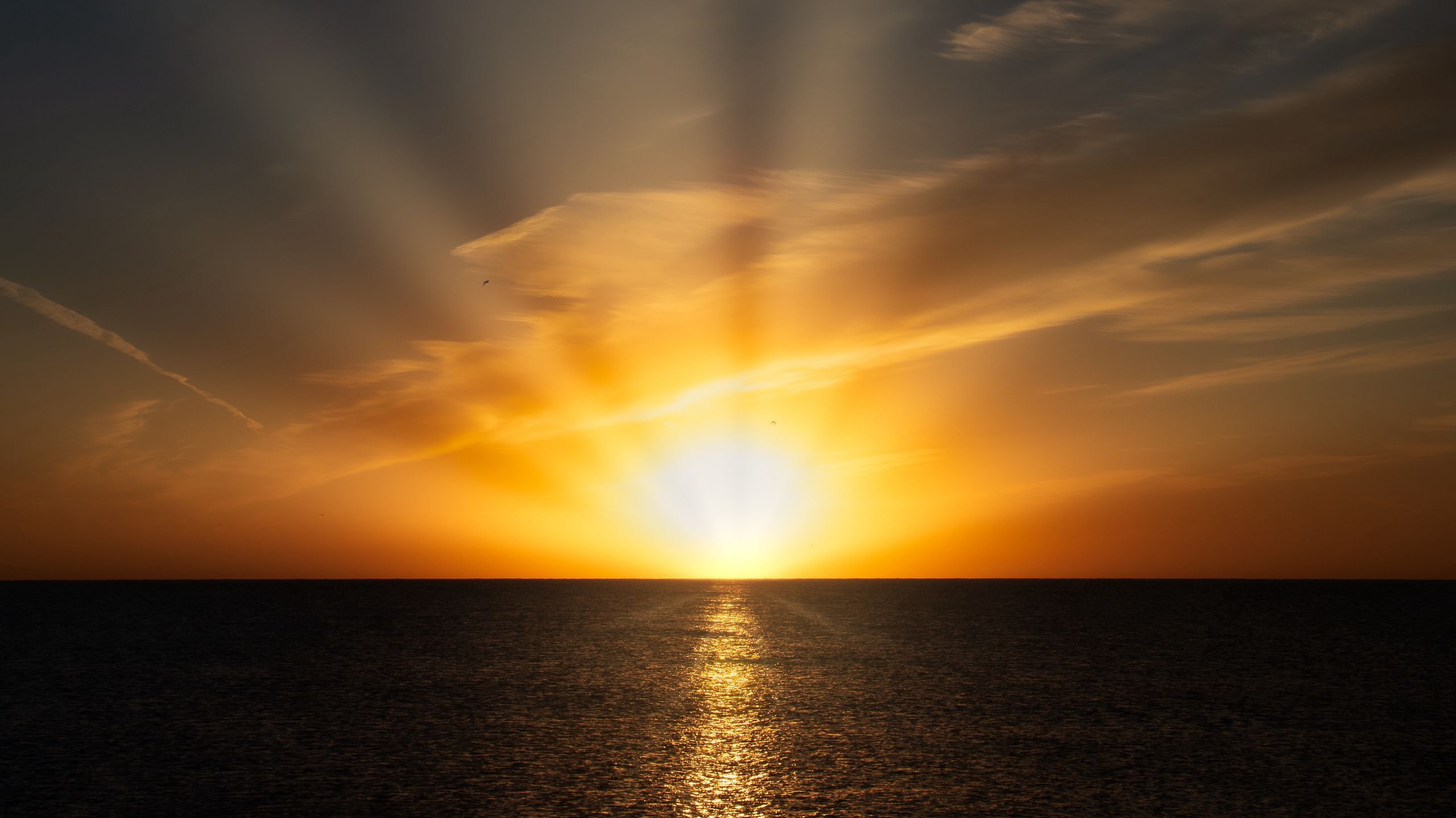 Download wallpaper 2560x1440 lake, dawn, horizon, sunrise