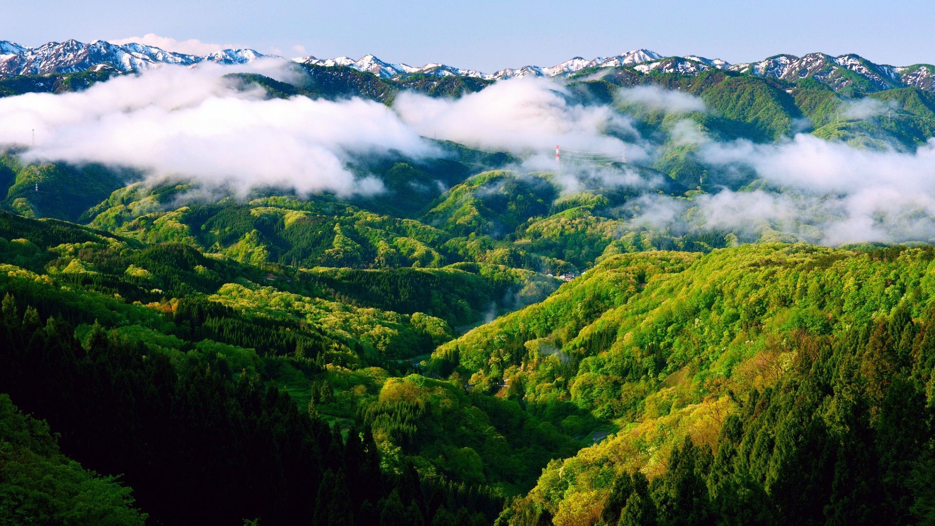 Desktop X Green Mountains On HD Mountain Wallpaper Free Download