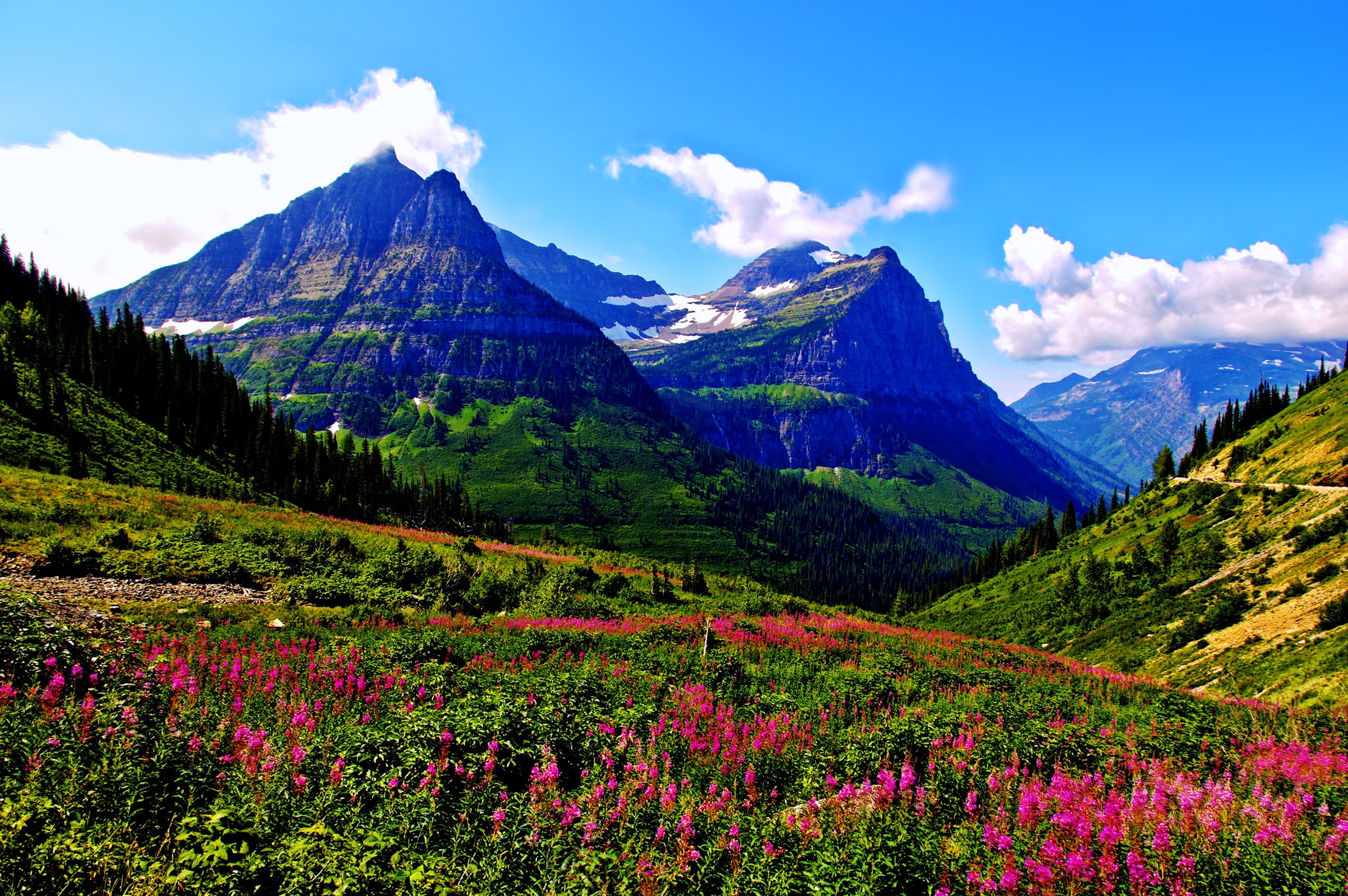 spring, Mountains, Landscapes, Sky, Clouds, Flowers, Grass, Green