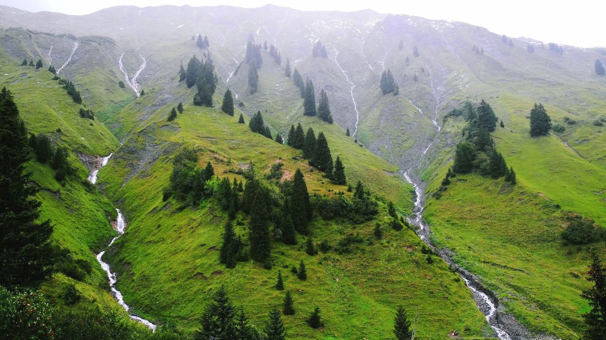 Mountains rivers trees green hills landscape nature earth snow