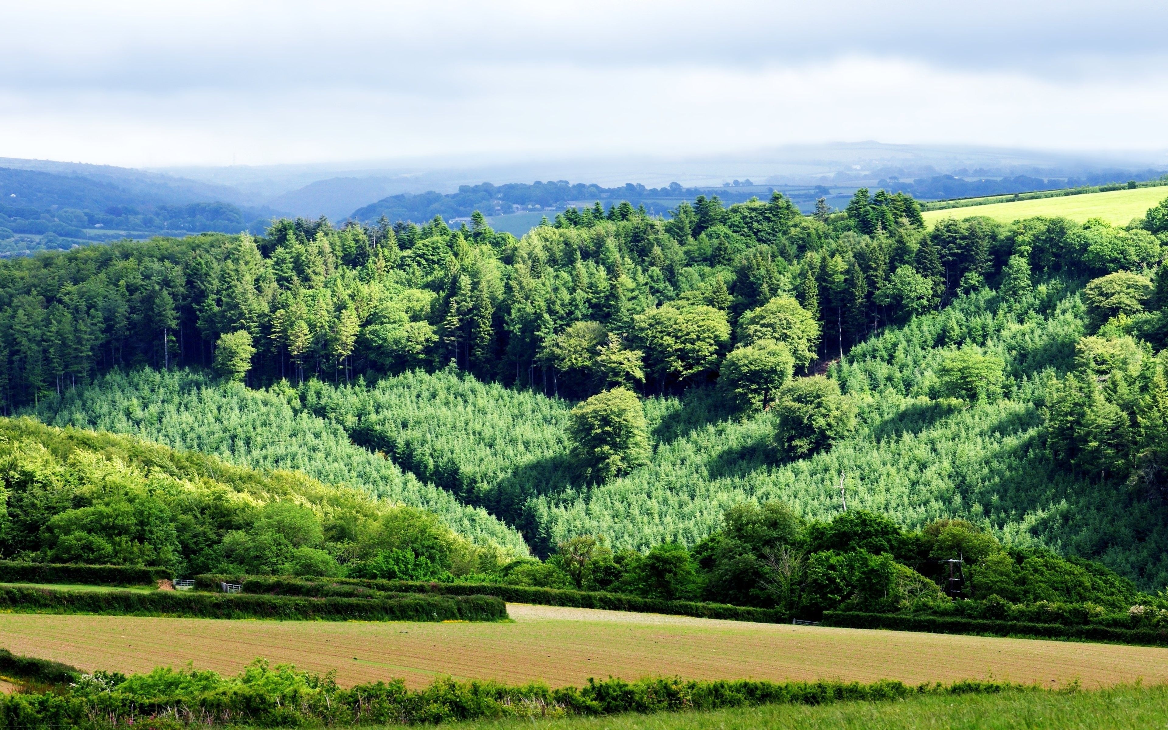 Countryside Mountains, Landscapes, Fields, Forest, Farms, Download