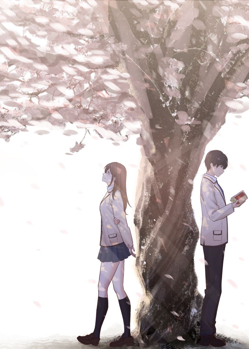 Kimi no Suizou wo Tabetai Wallpaper Free Kimi no Suizou wo