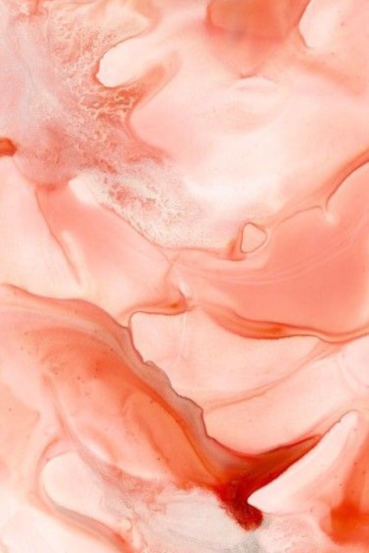 Download Peach Color Aesthetic Flower Sunset Wallpaper  Wallpaperscom