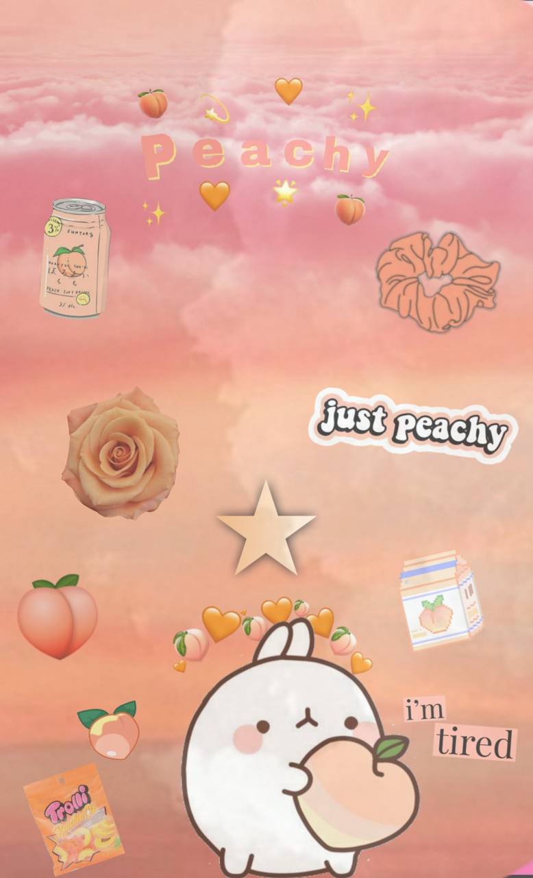 Toon Peach Wallpaper Stock Video  Envato Elements