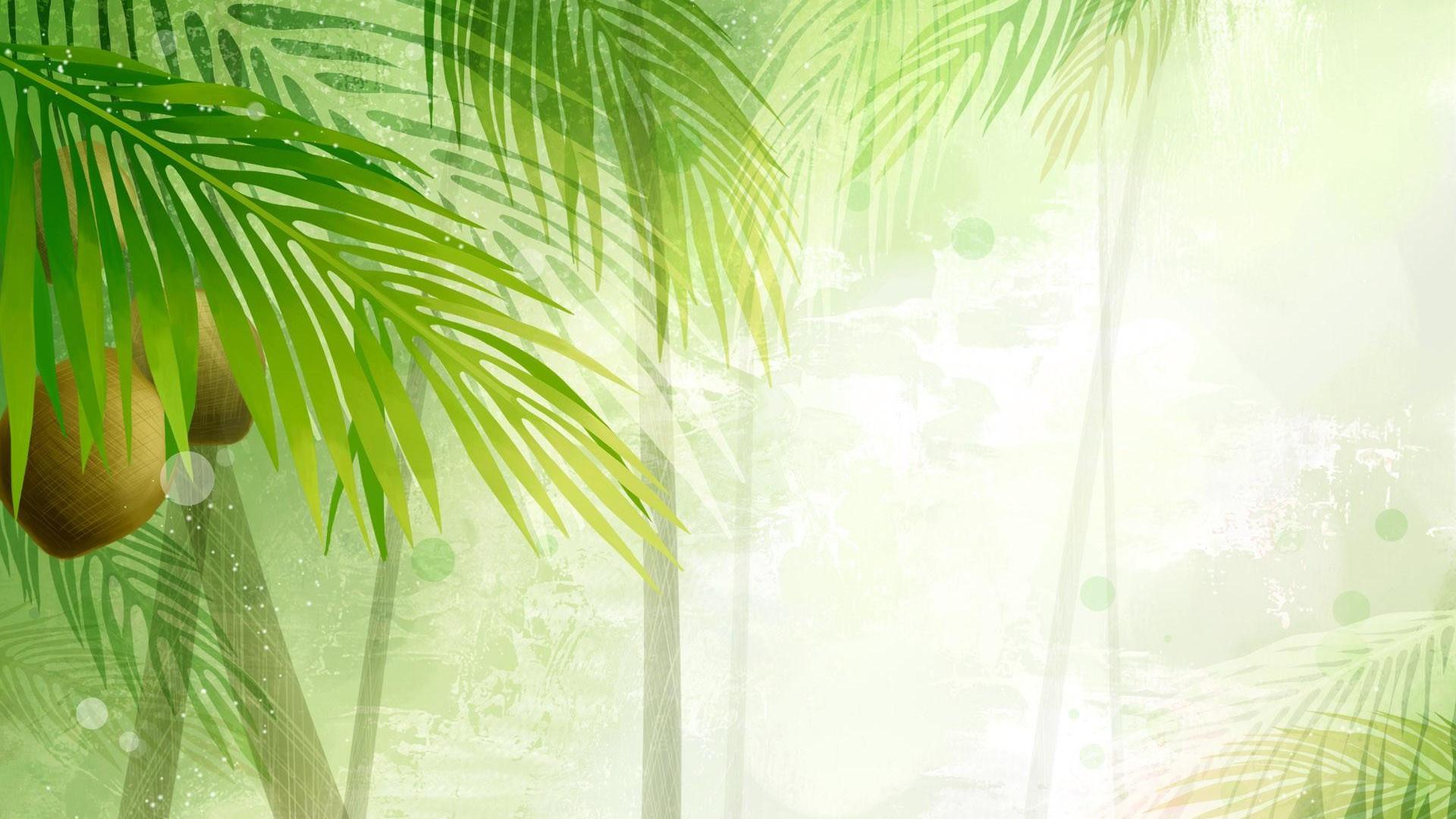Coconut Tree Desktop Wallpapers Wallpaper Cave