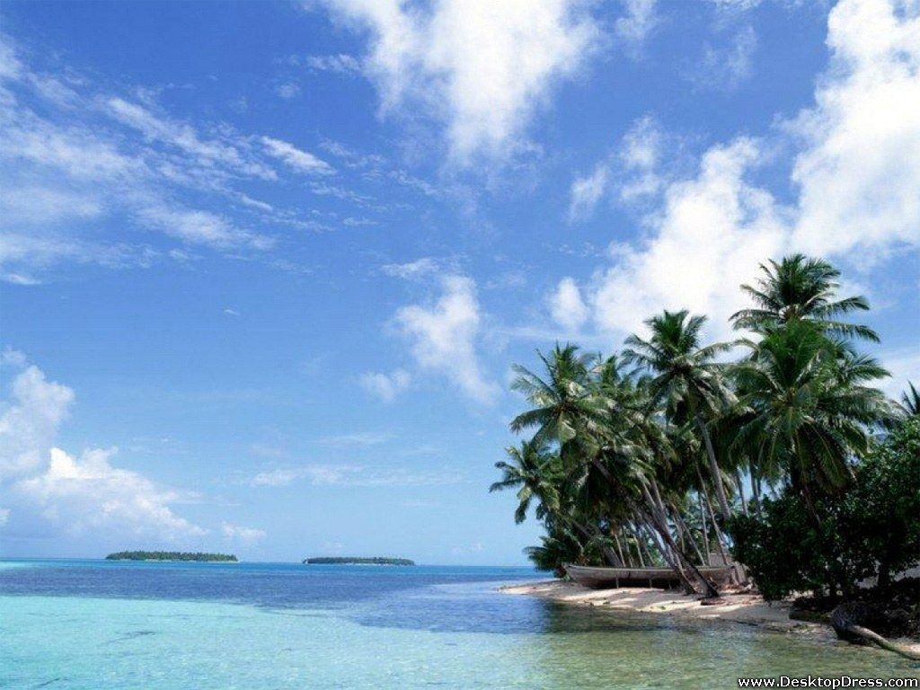 Desktop Wallpaper Natural Background Beach, Coconut Tree