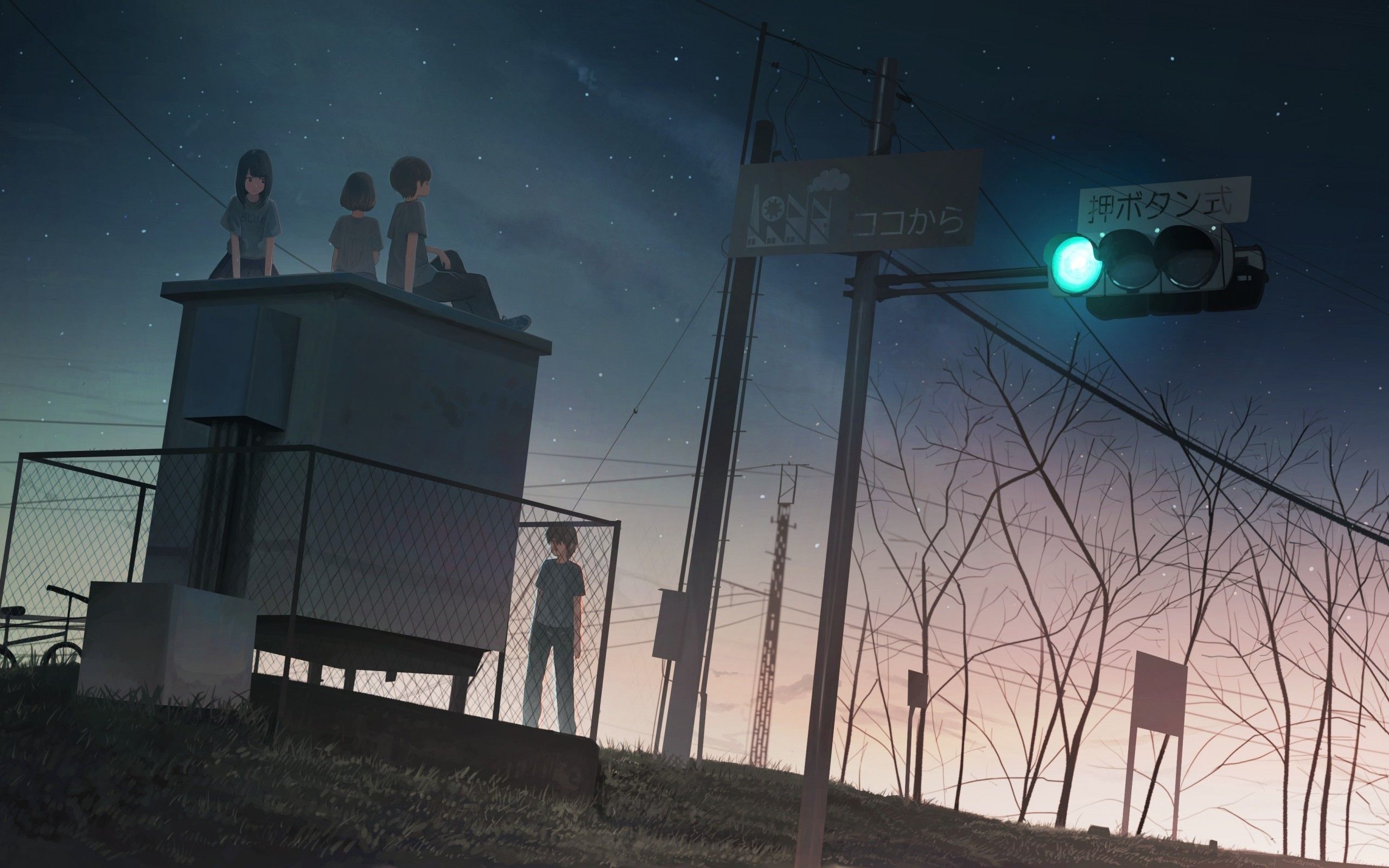 Download 2560x1600 Anime Girl And Guys, Rooftop, Scenic, Stars