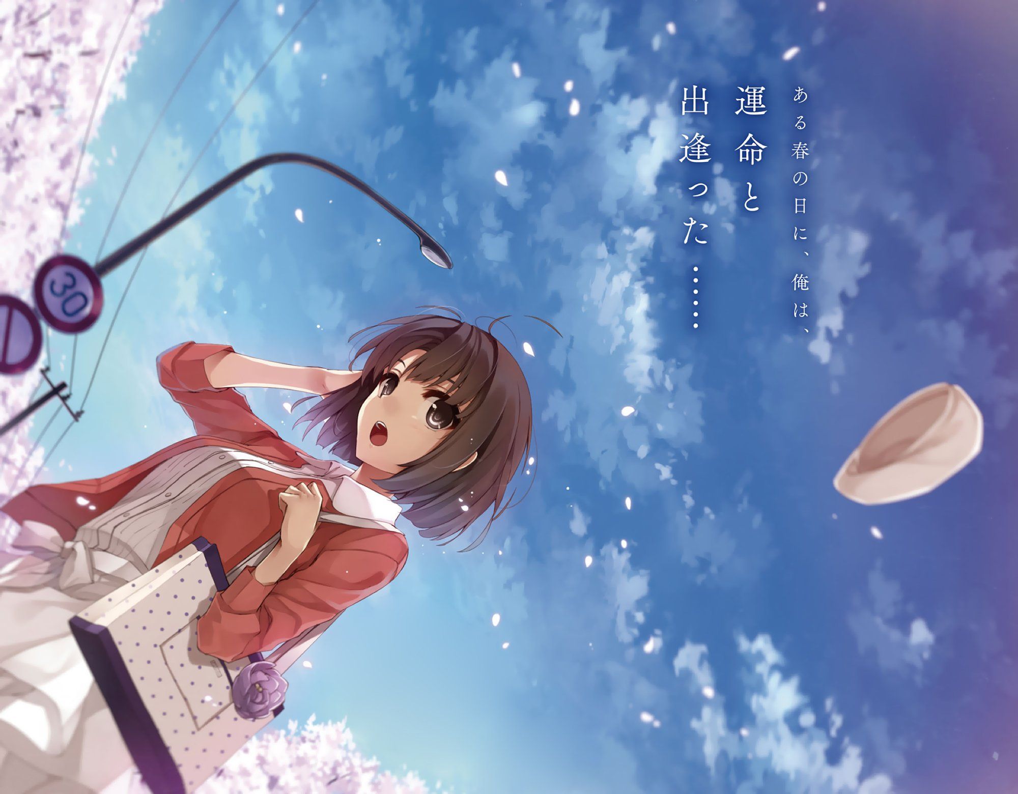 Cherry blossoms clouds katou megumi misaki kurehito petals saenai