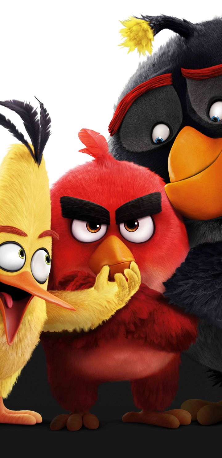Movie The Angry Birds Movie (720x1480) Wallpaper
