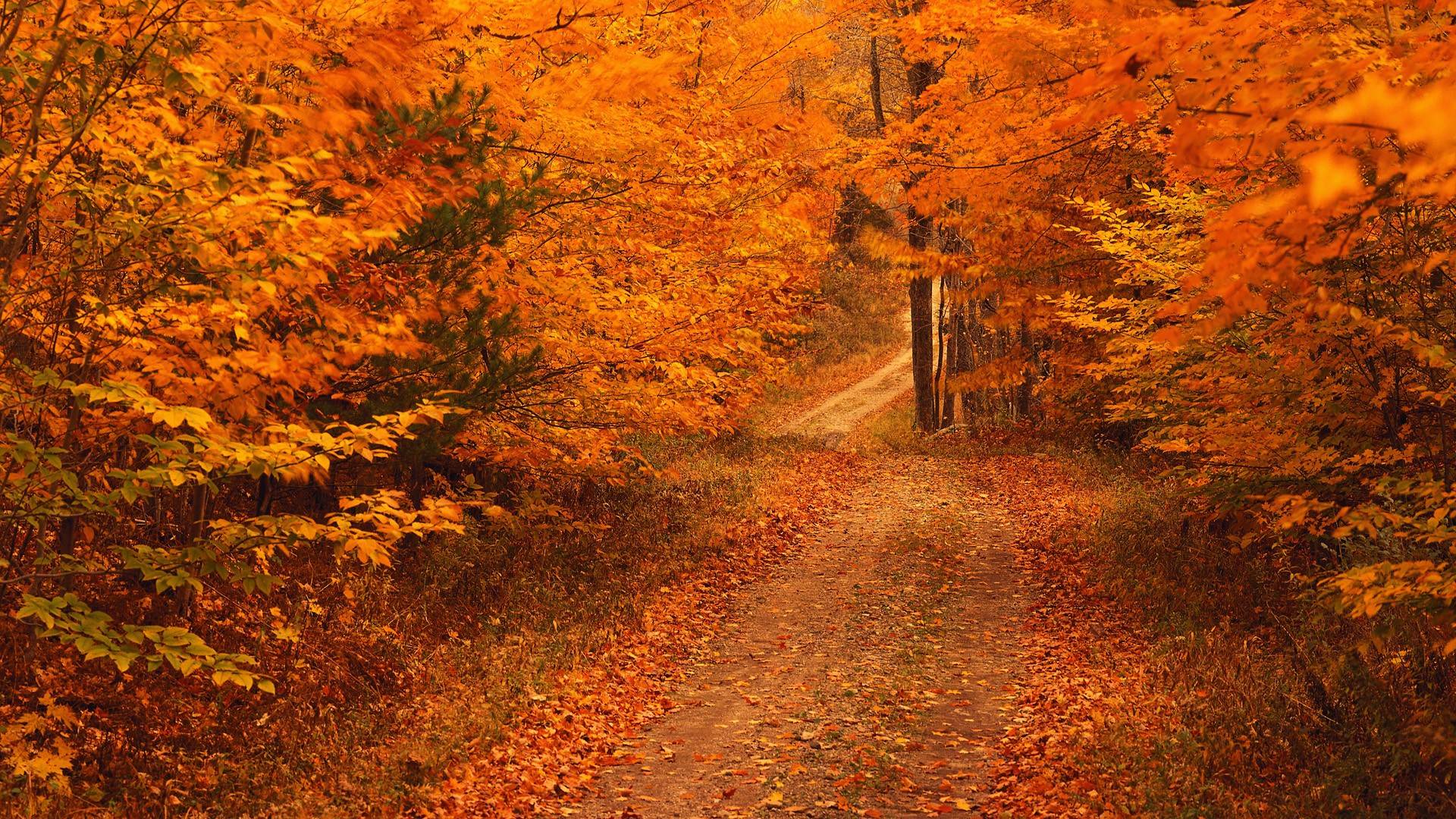 17++ Autumn Season Wallpaper HD