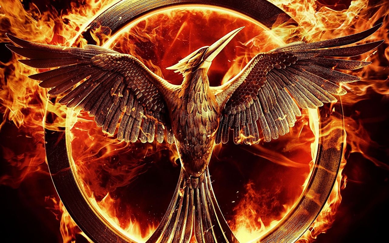 Picture The Hunger Games Birds Wings Mockingjay film Fire
