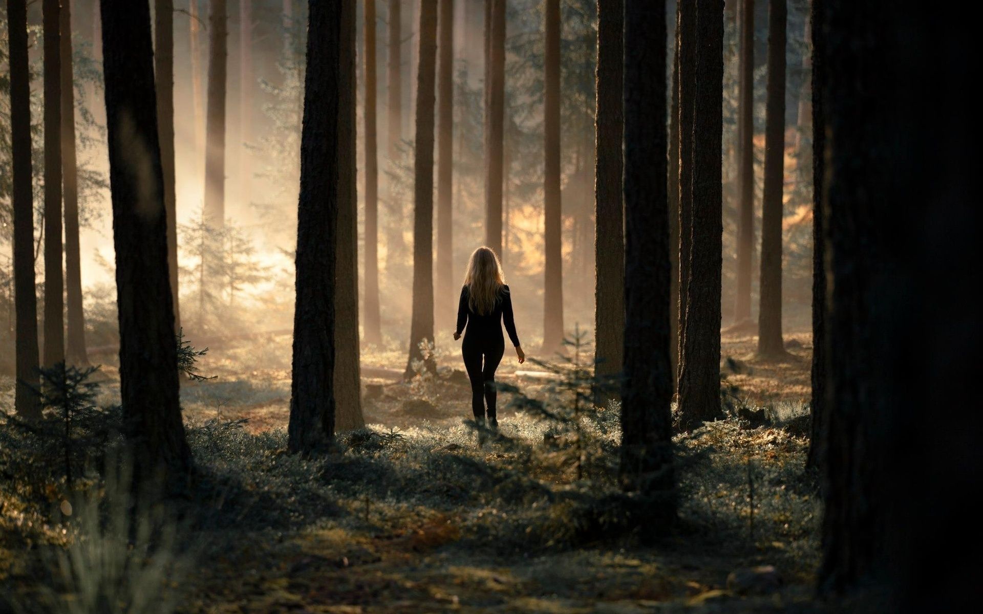 girl, Fog, Forest Wallpaper HD / Desktop and Mobile Background