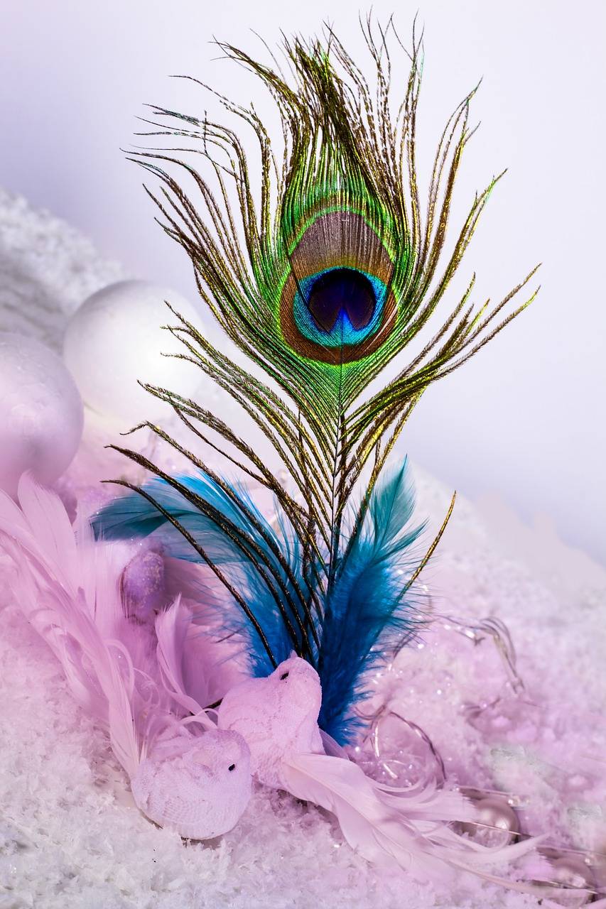 Peacock feather Wallpaper by ZEDGE™