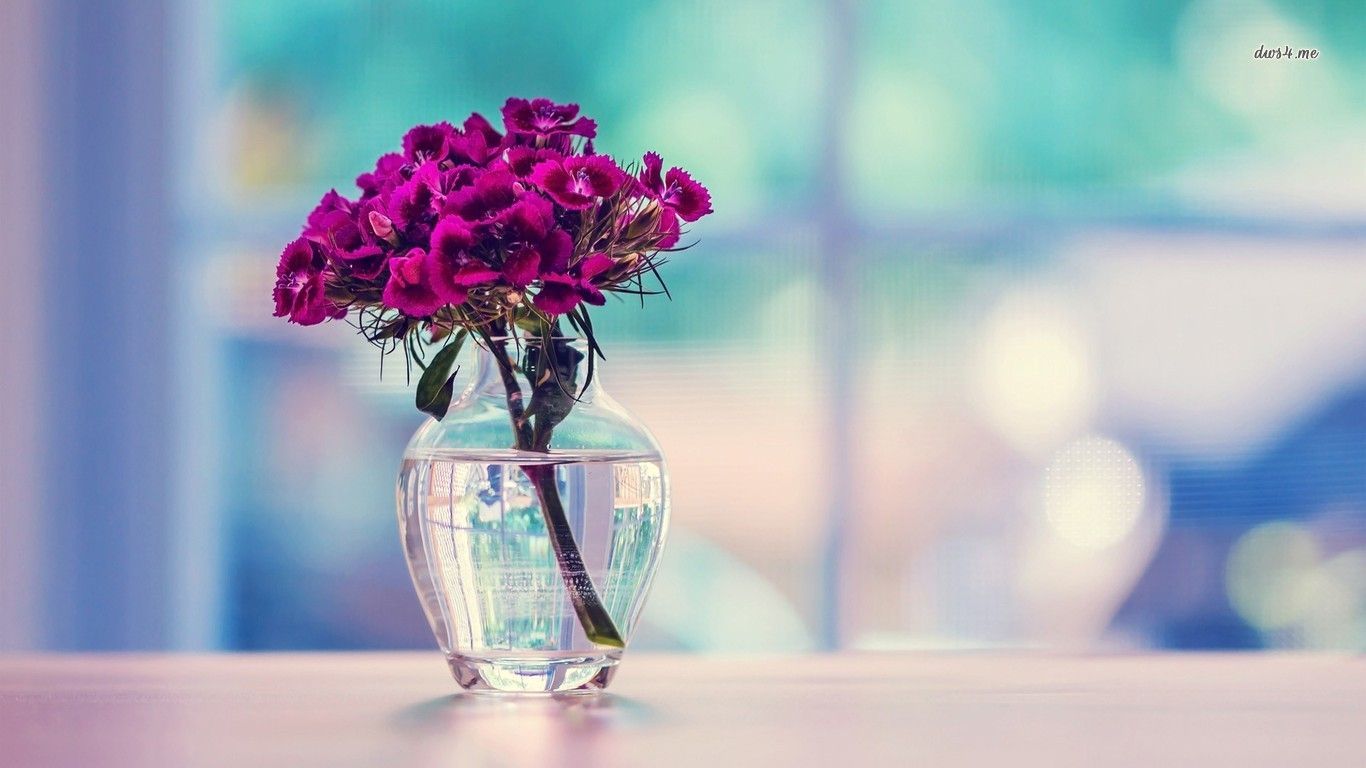 Dianthus bouquet in a vase wallpaper 1366x768. Wallpaper