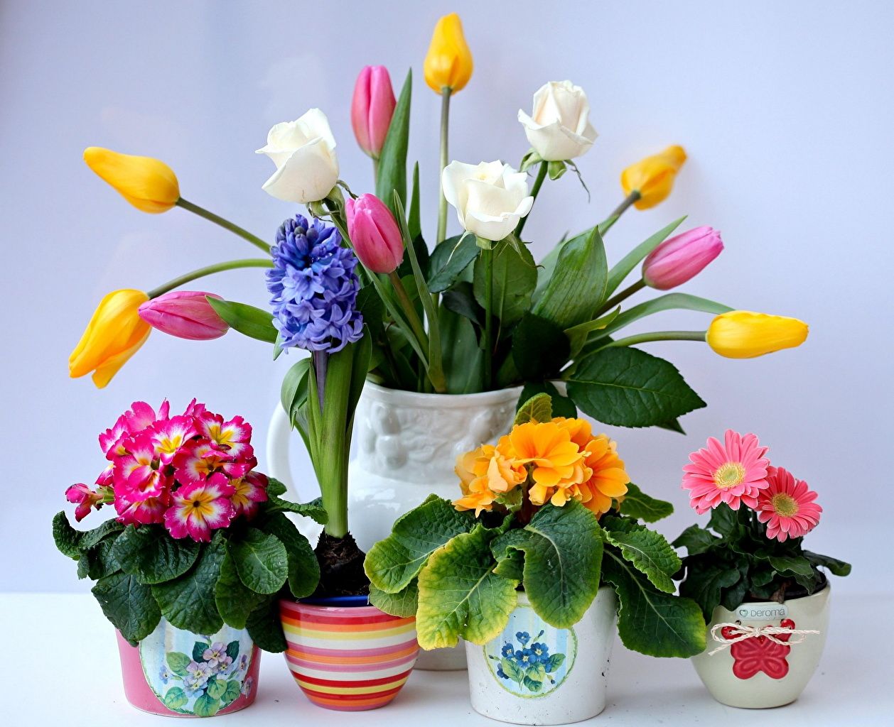 image tulip Flowers Vase