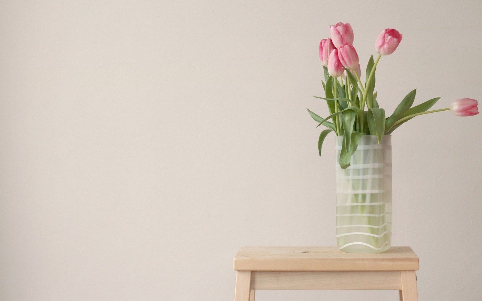 Pink Tulips Flower Vase Neutral Colors Desktop Wallpaper