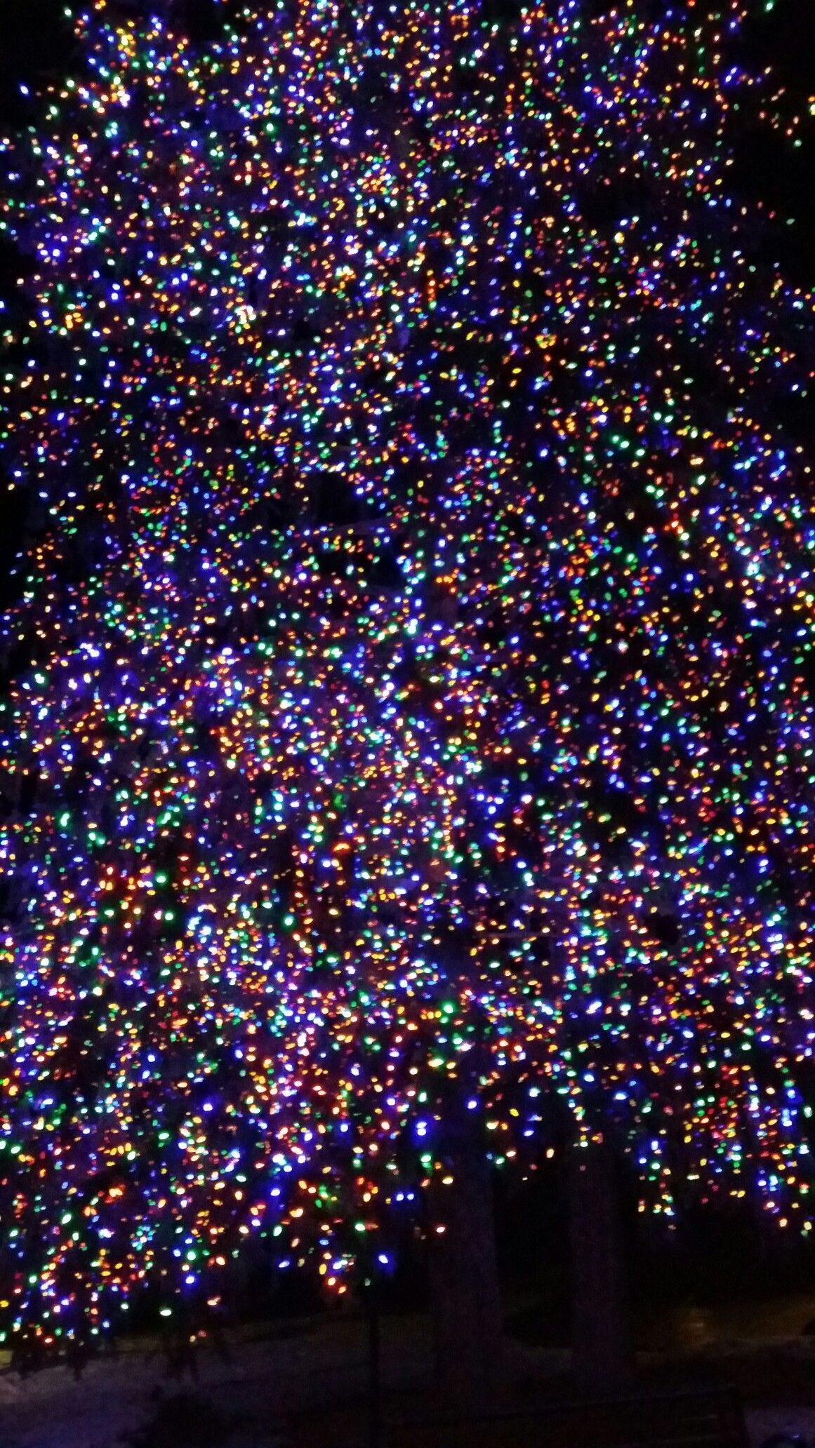photo I took. iPhone wallpaper glitter