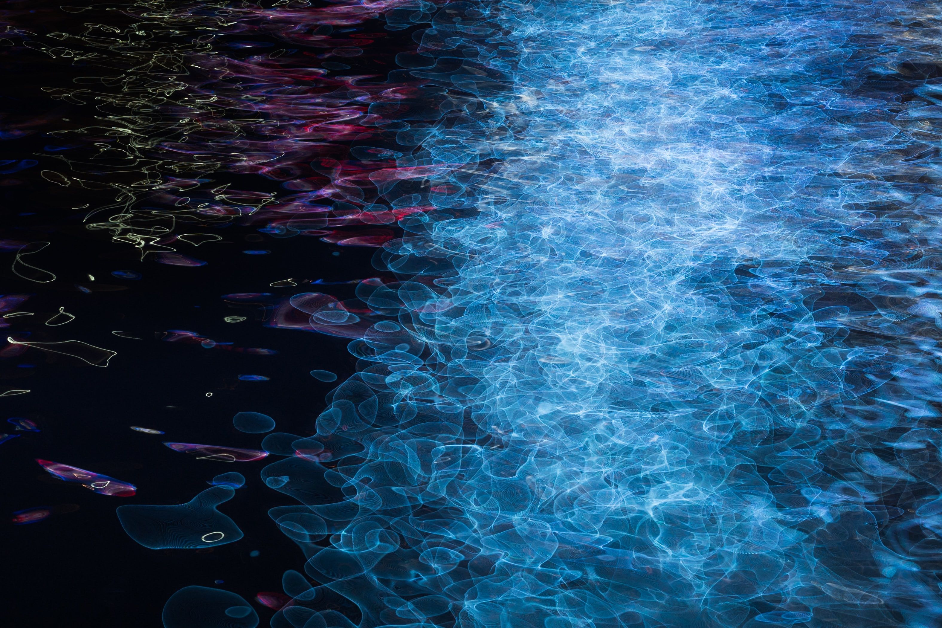 Neon Lights Reflecting In The Dark Water, HD Artist, 4k Wallpaper