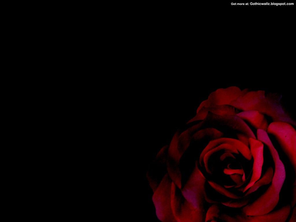 Free download Gothic Rose Dark Gothic Wallpaper FREE Gothic